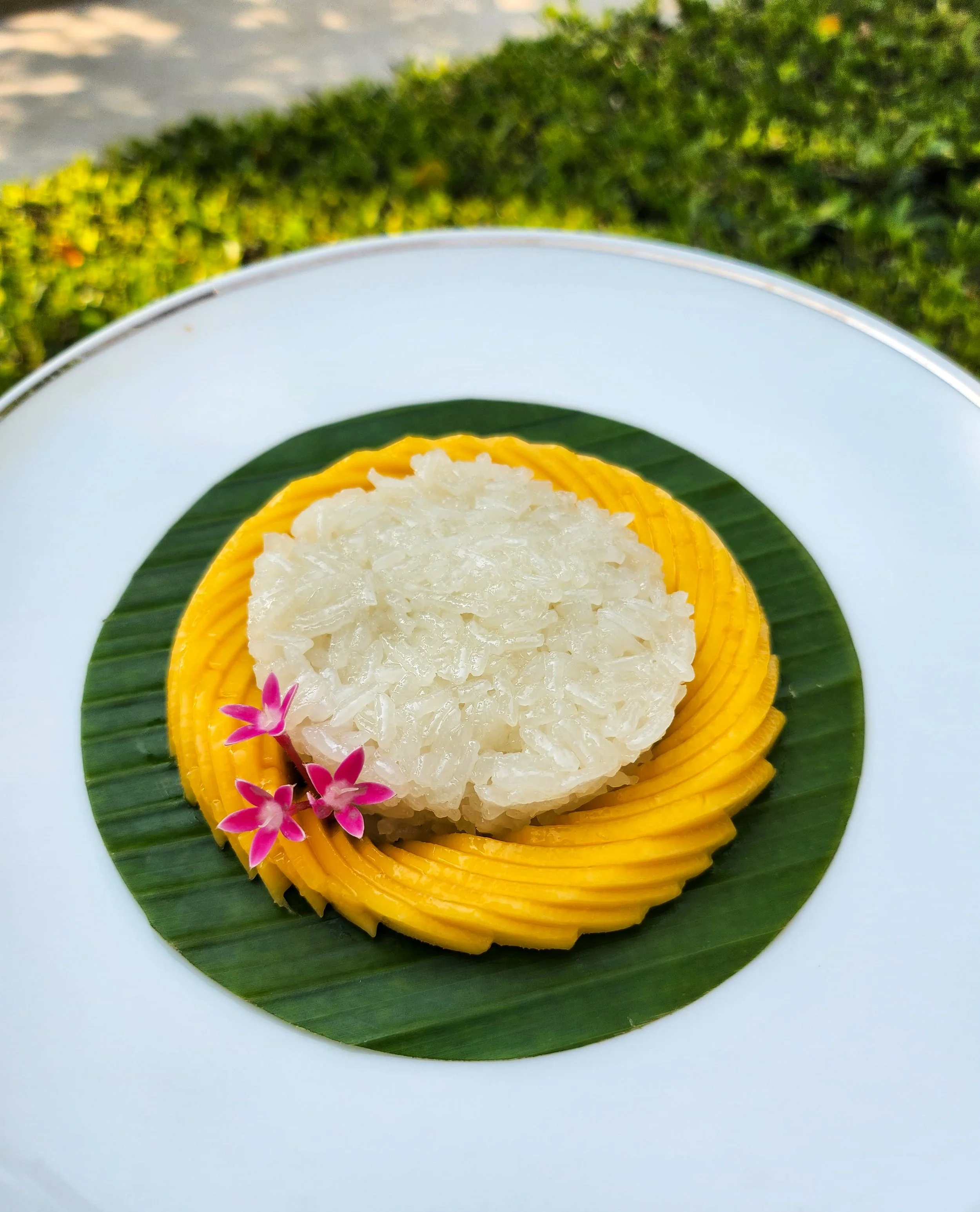 Four Seasons Bangkok With Kids: Riverside Luxury for the Whole Family