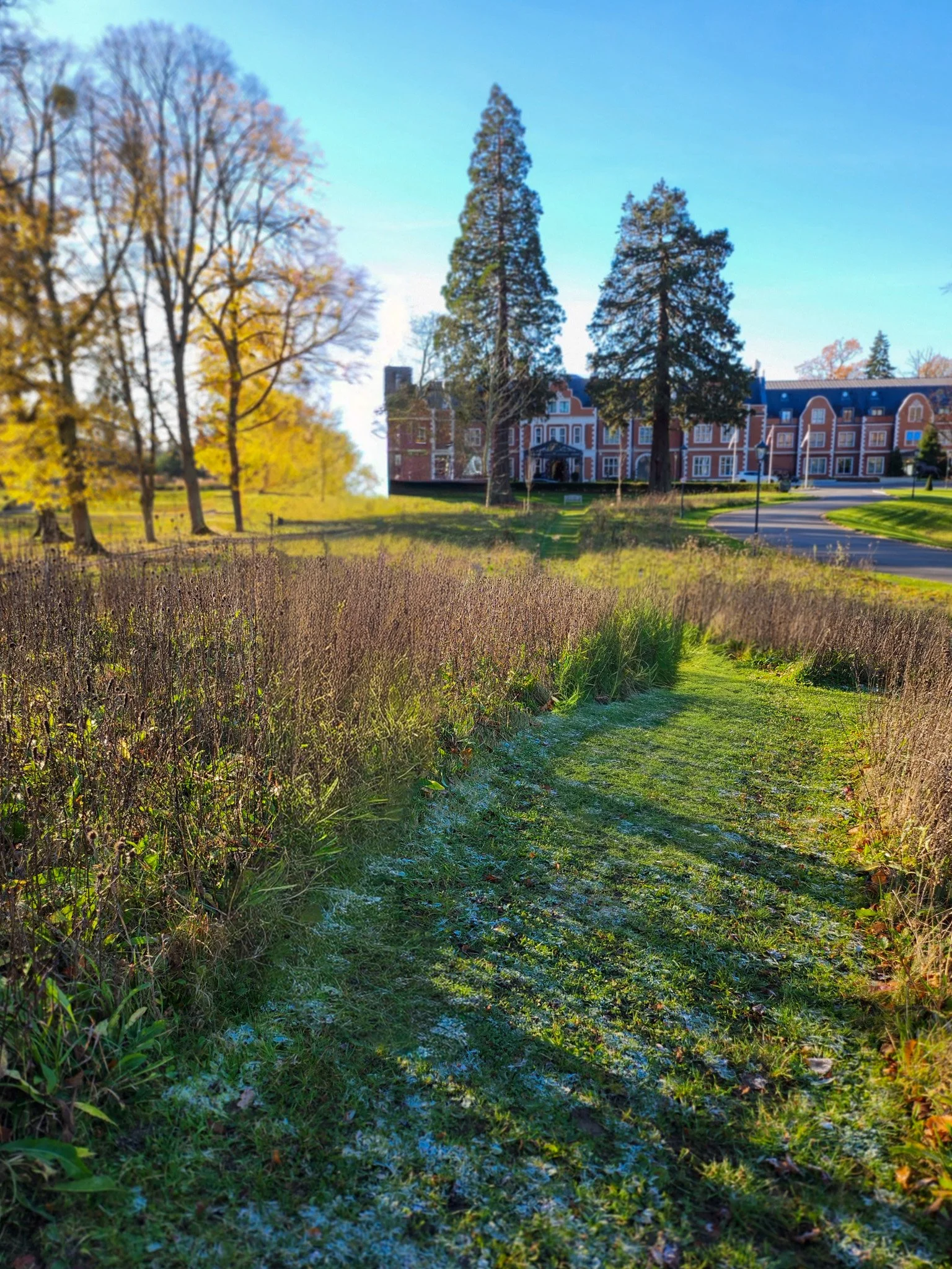 Fairmont Windsor Park With Kids: A Festive Family Escape Near London