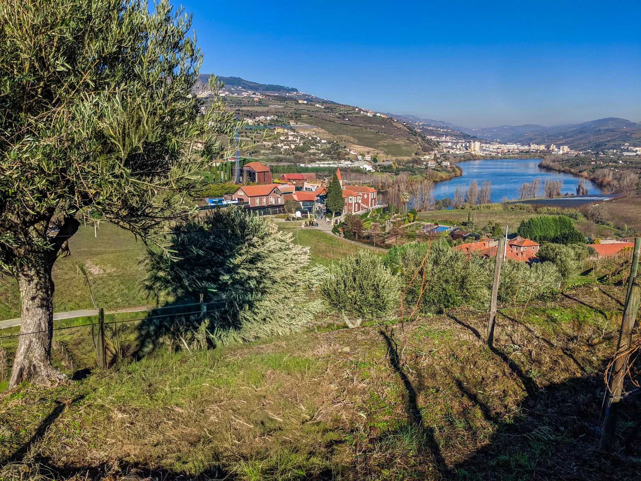 Six Senses Douro Valley with Kids: Is This Portugal’s Best Luxury Wine-Country Hotel for Families?