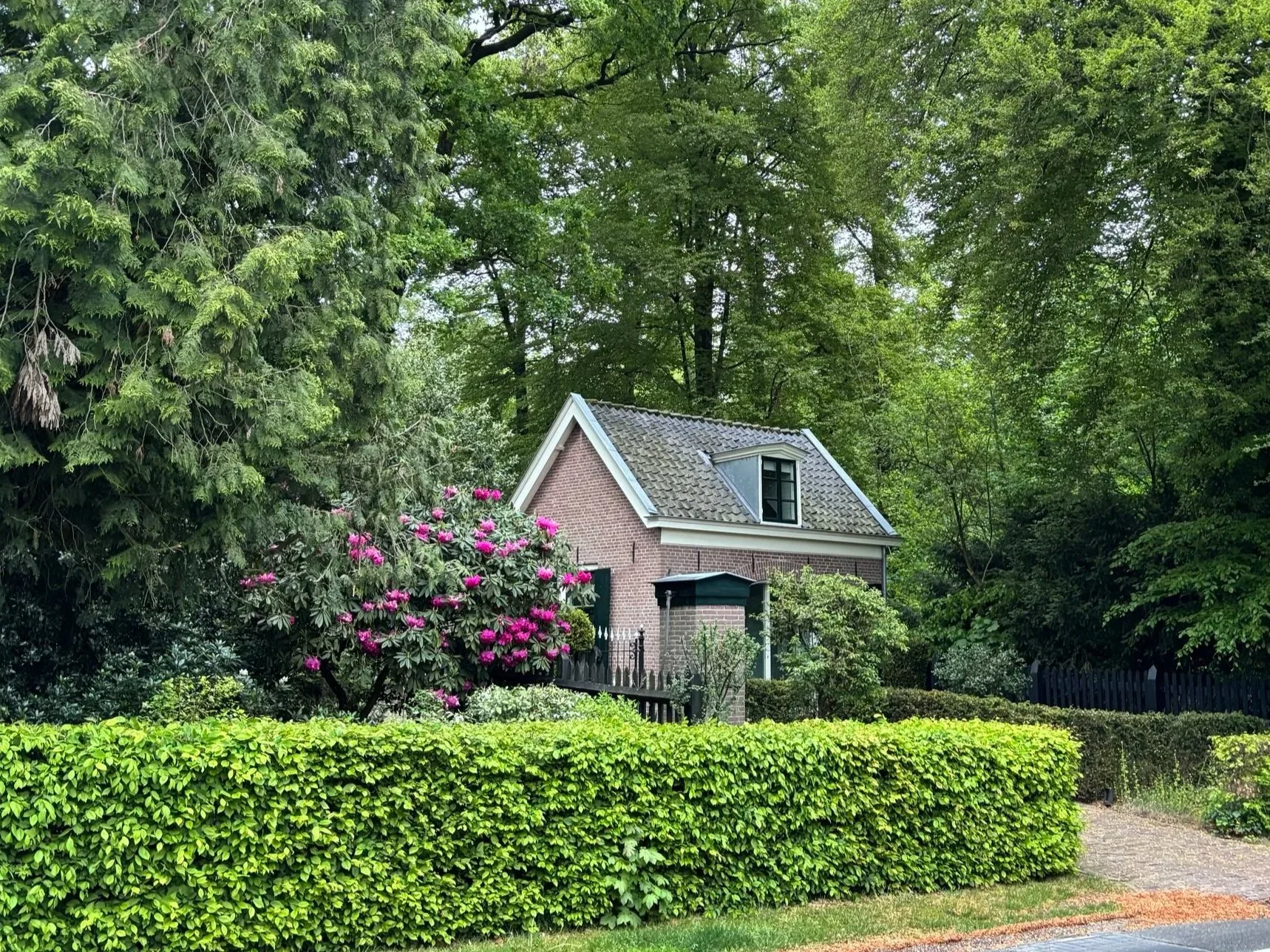 Een huis omgeven door groene struiken, bloemen en bomen in een tuin, met een hobbelig pad en een hek in de voorgrond.