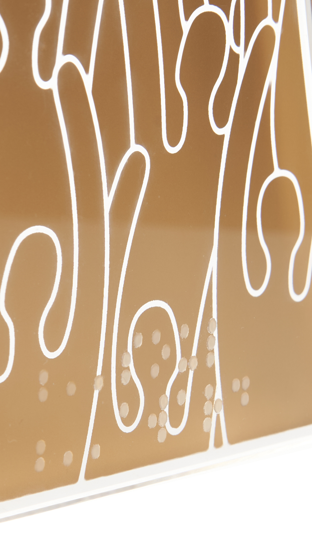 soul-award-plaque-braille.png