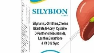 SILYBION