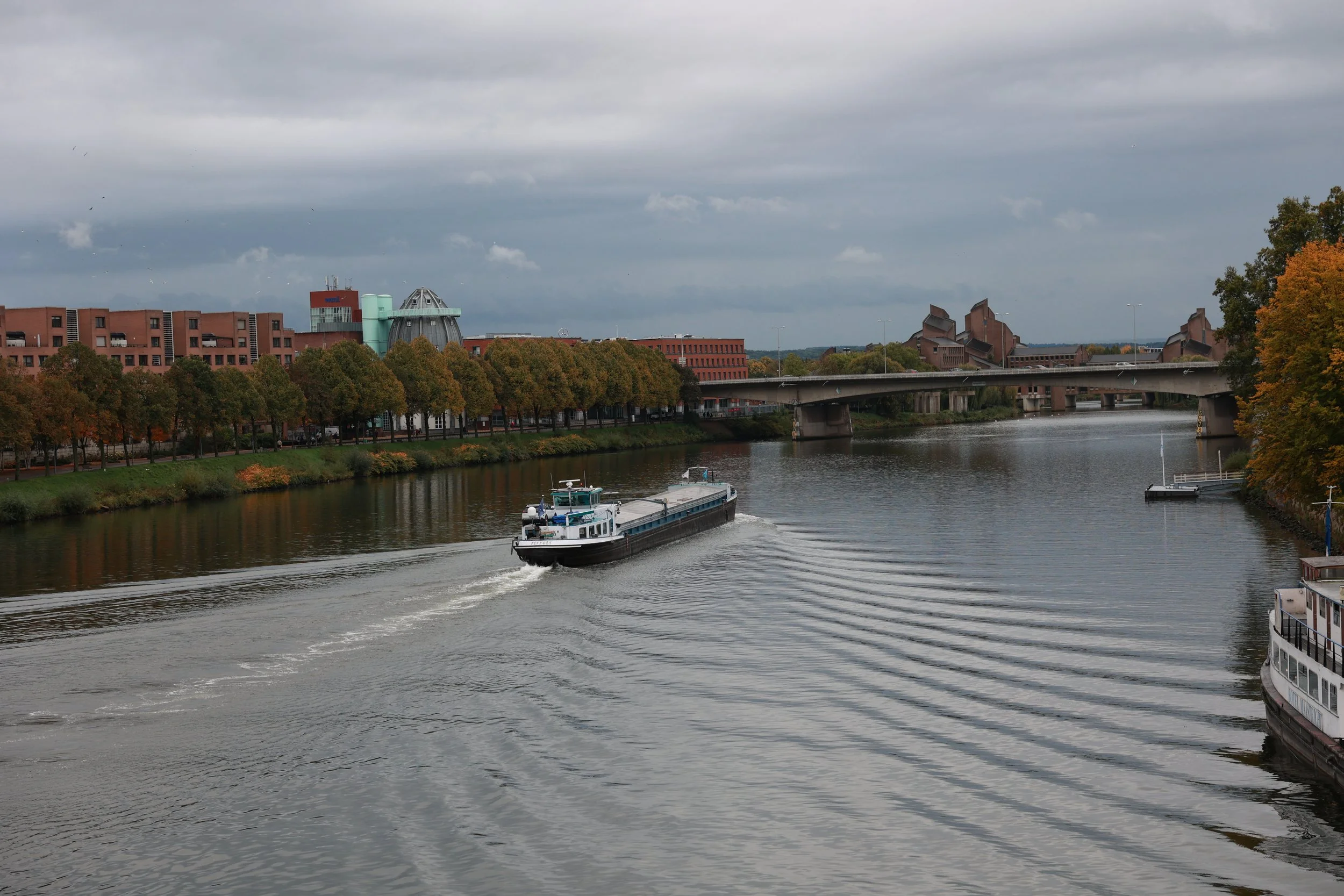 6B5A8652.JPG