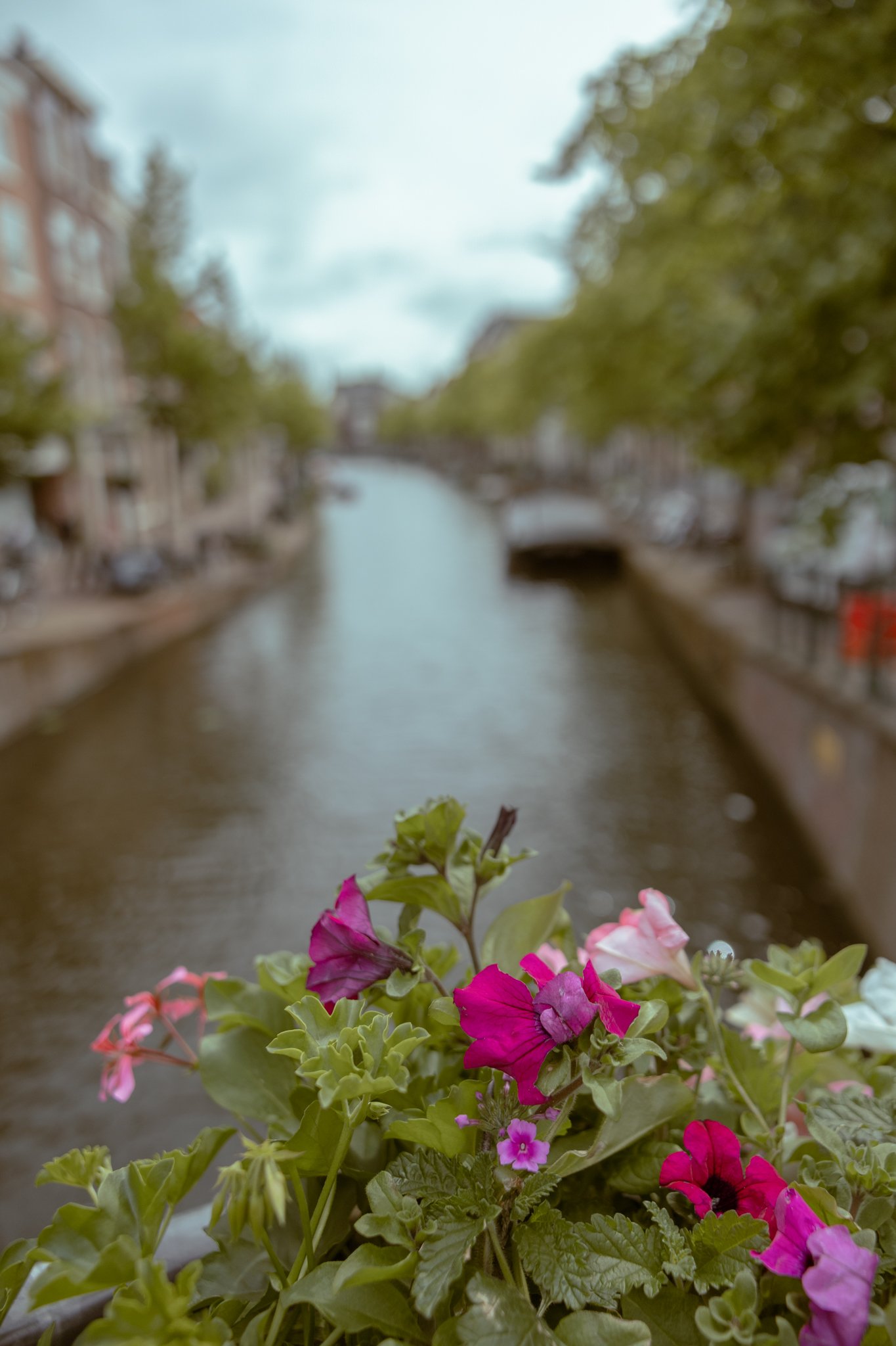 Leiden Walkthrough-10.jpg