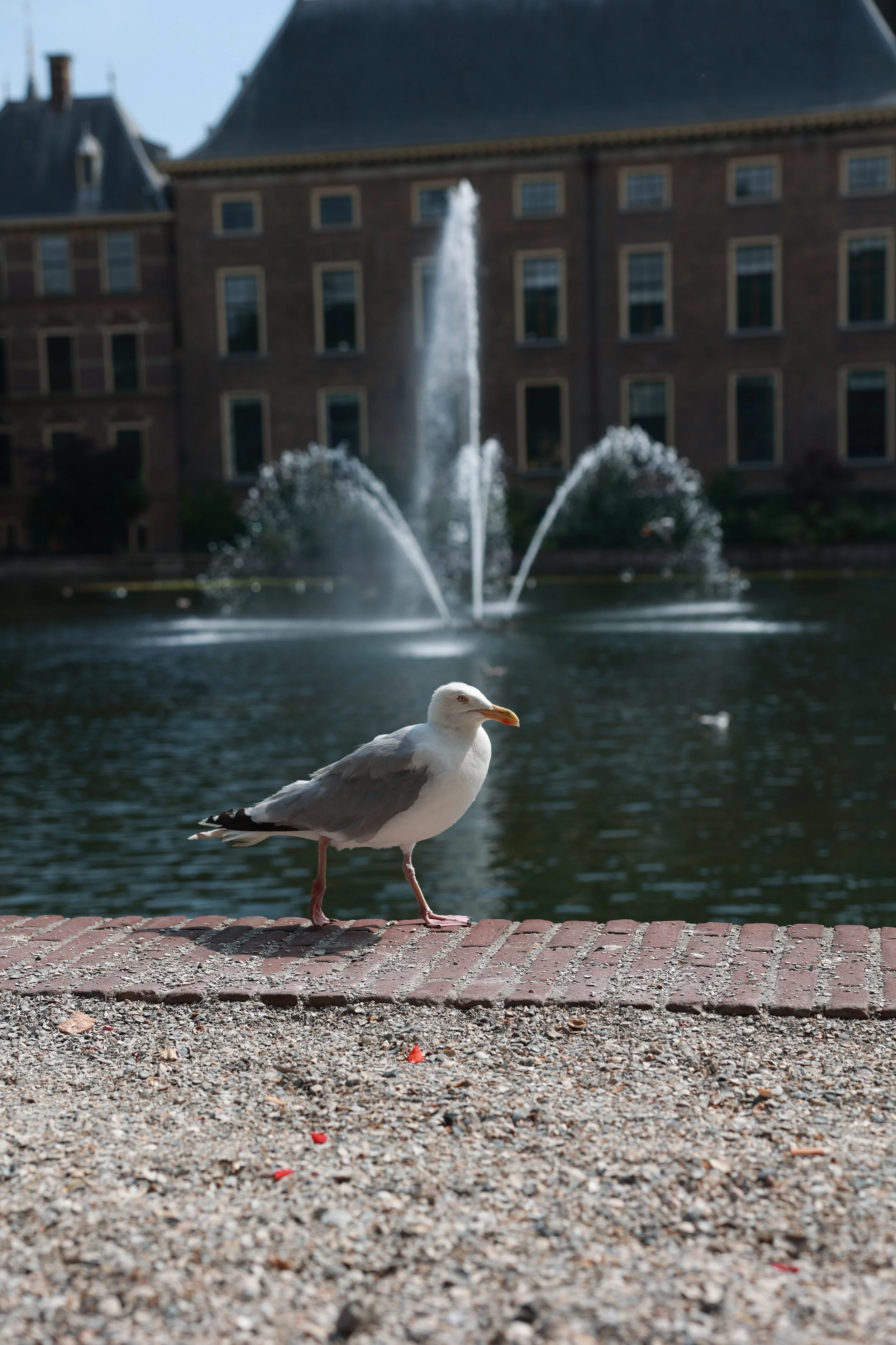 6B5A7746.JPG