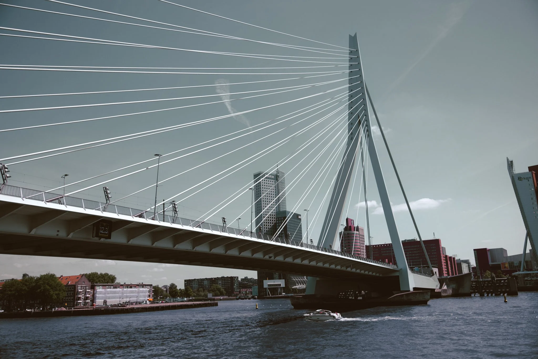 Rotterdam-2.jpg
