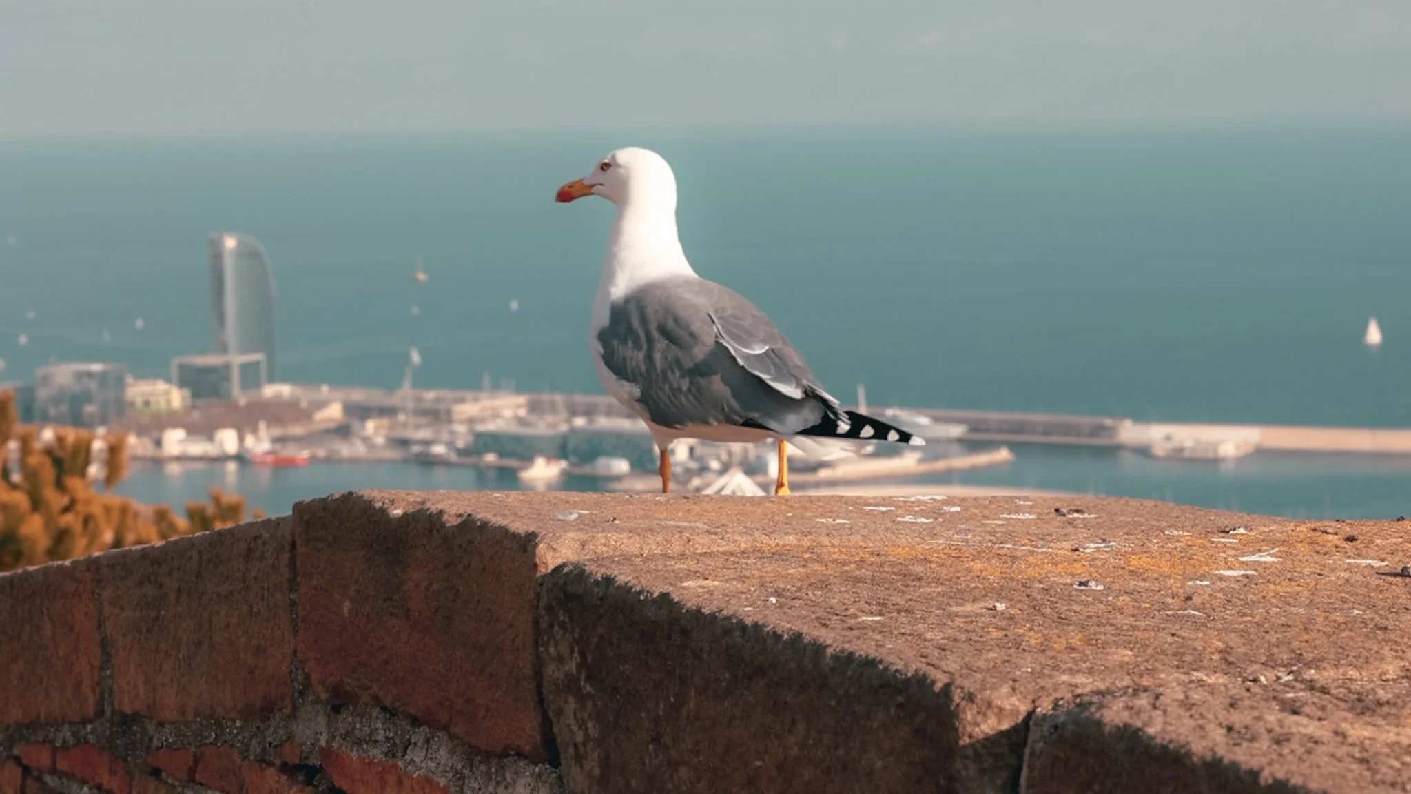 Barcelona 27.jpg