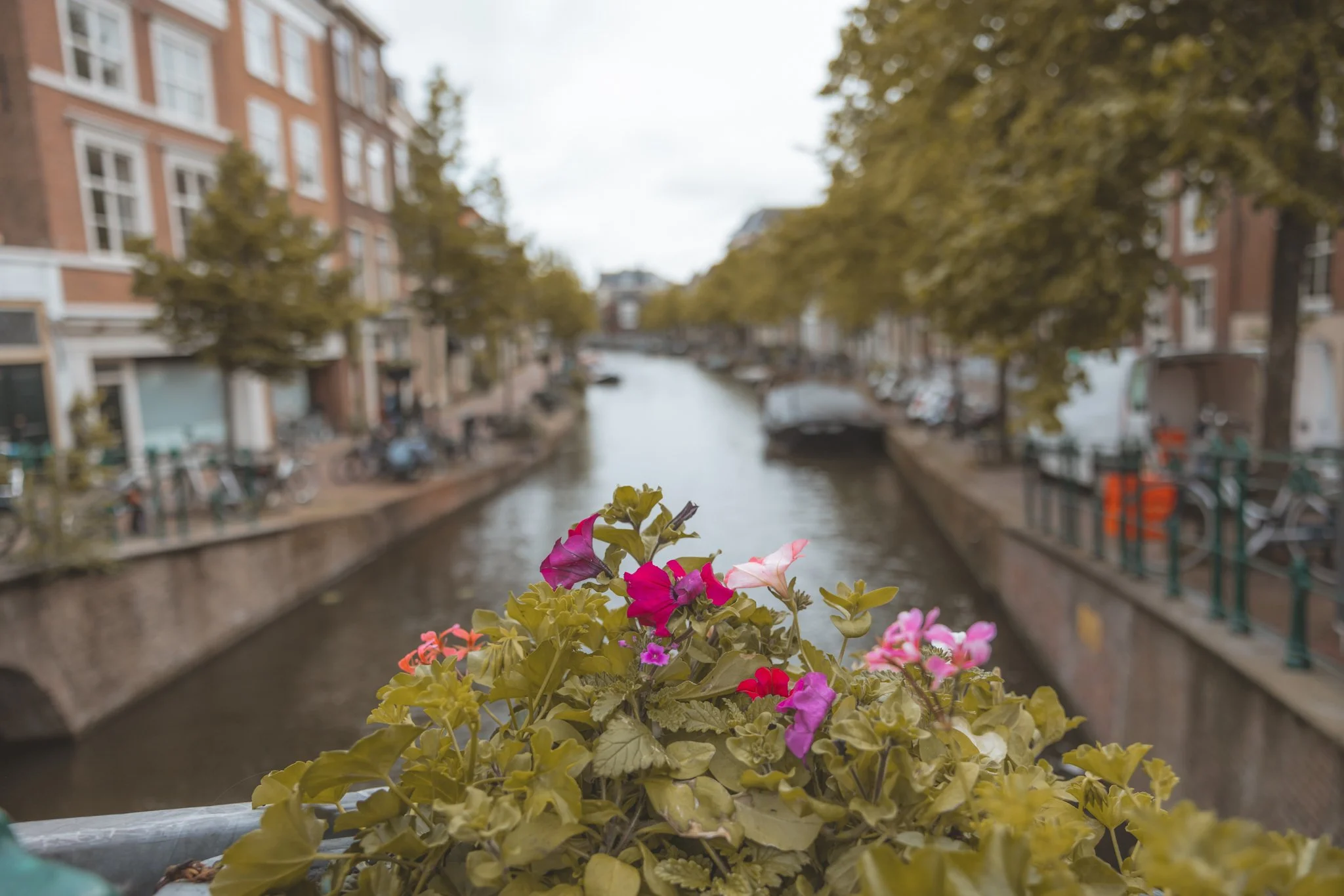 Leiden-07.jpg
