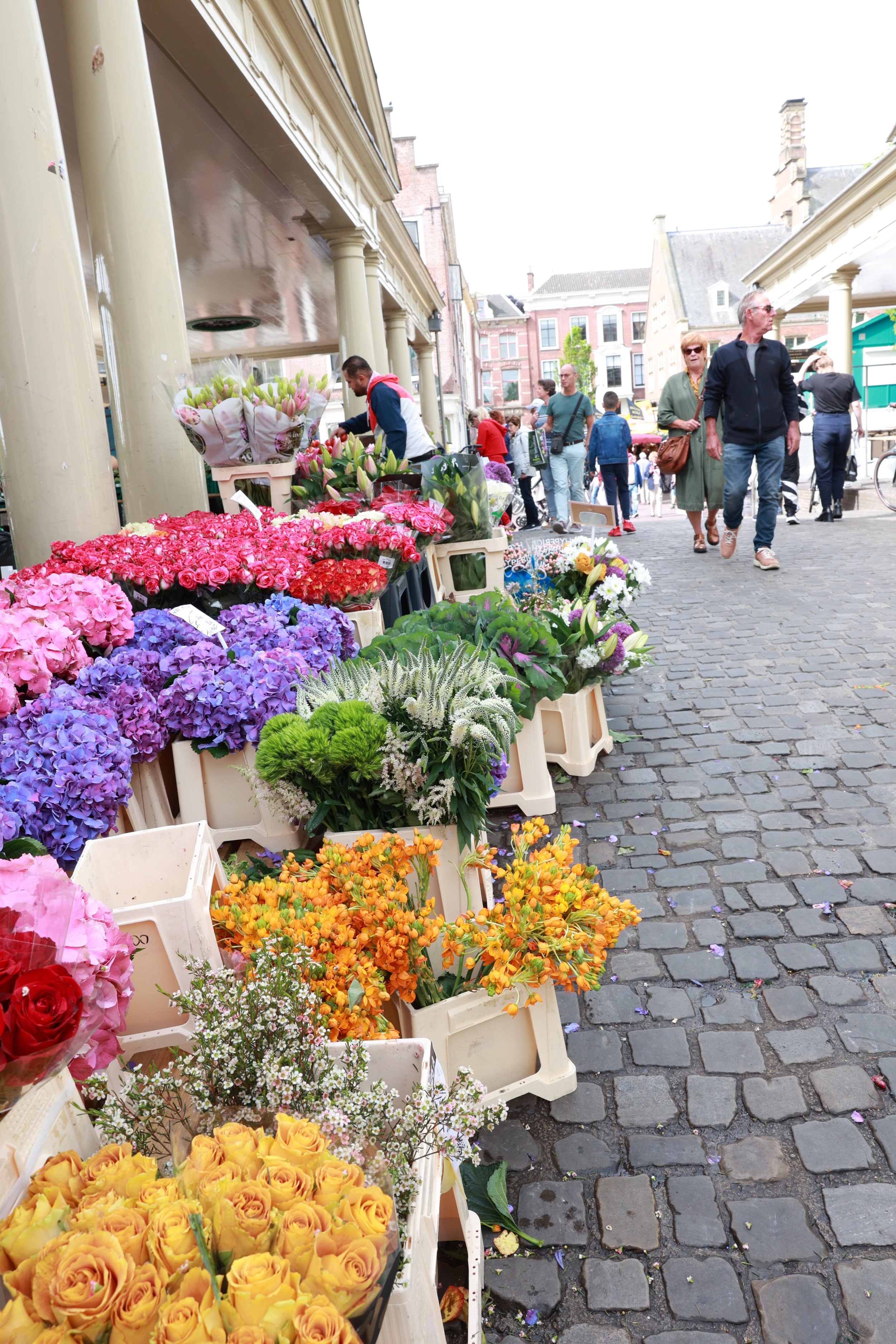 6B5A6581.JPG