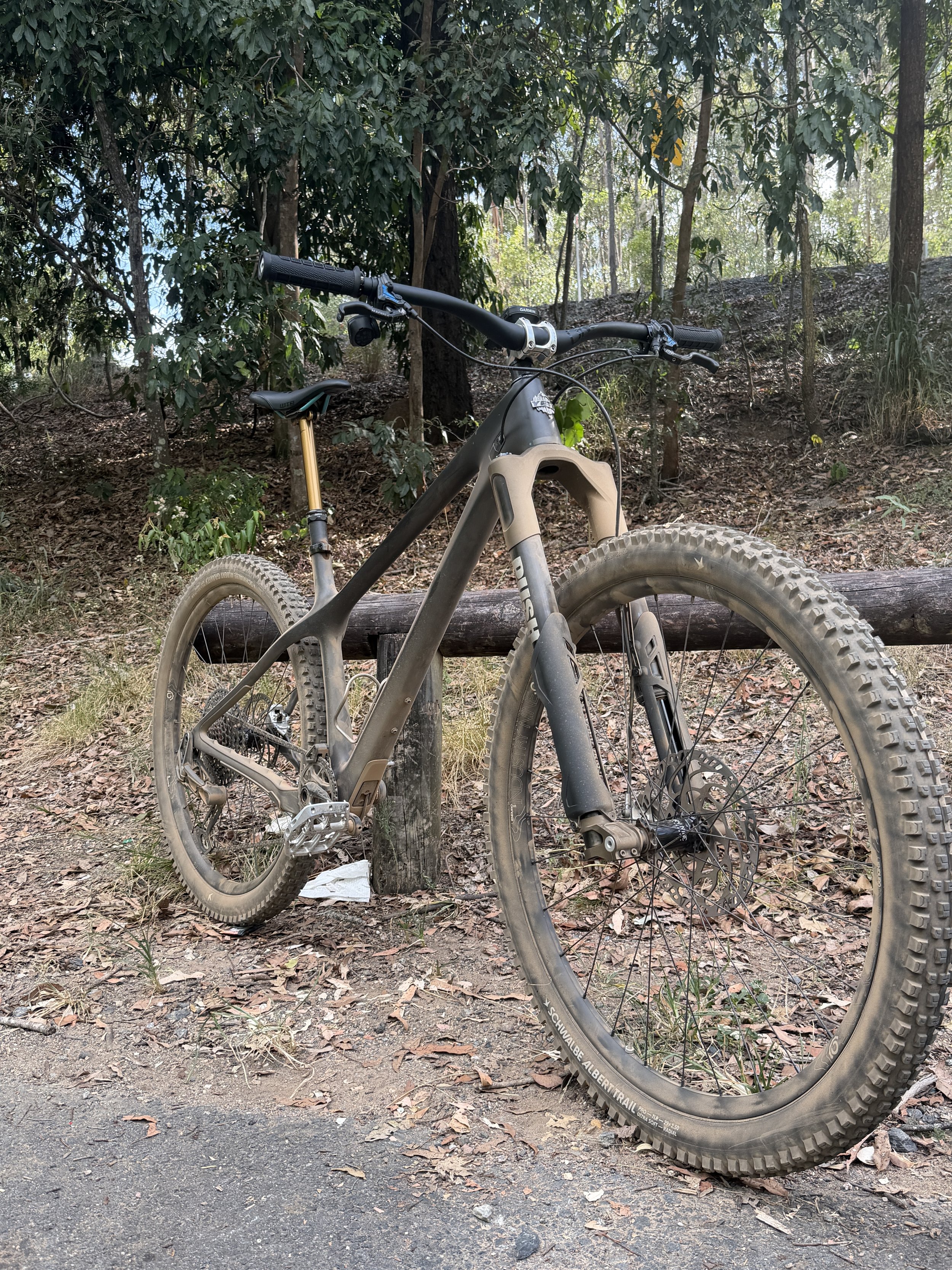 A mountain bike leans against a tree in a wooded area with fallen leaves and a dirt trail.