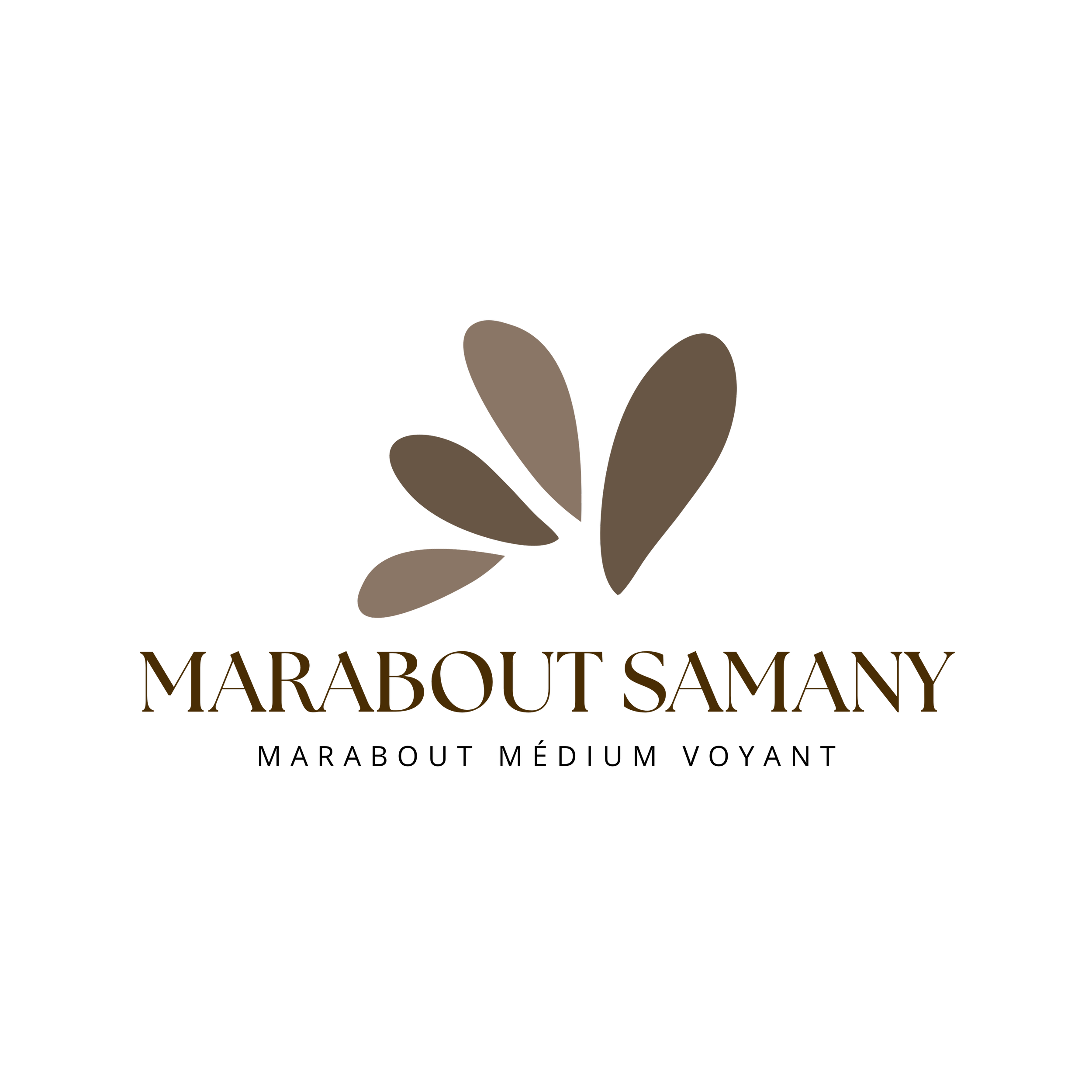 Logo de Marabout Samany avec une branche d'olivier stylisée en haut, et le nom en lettres dorées, noir de fond.