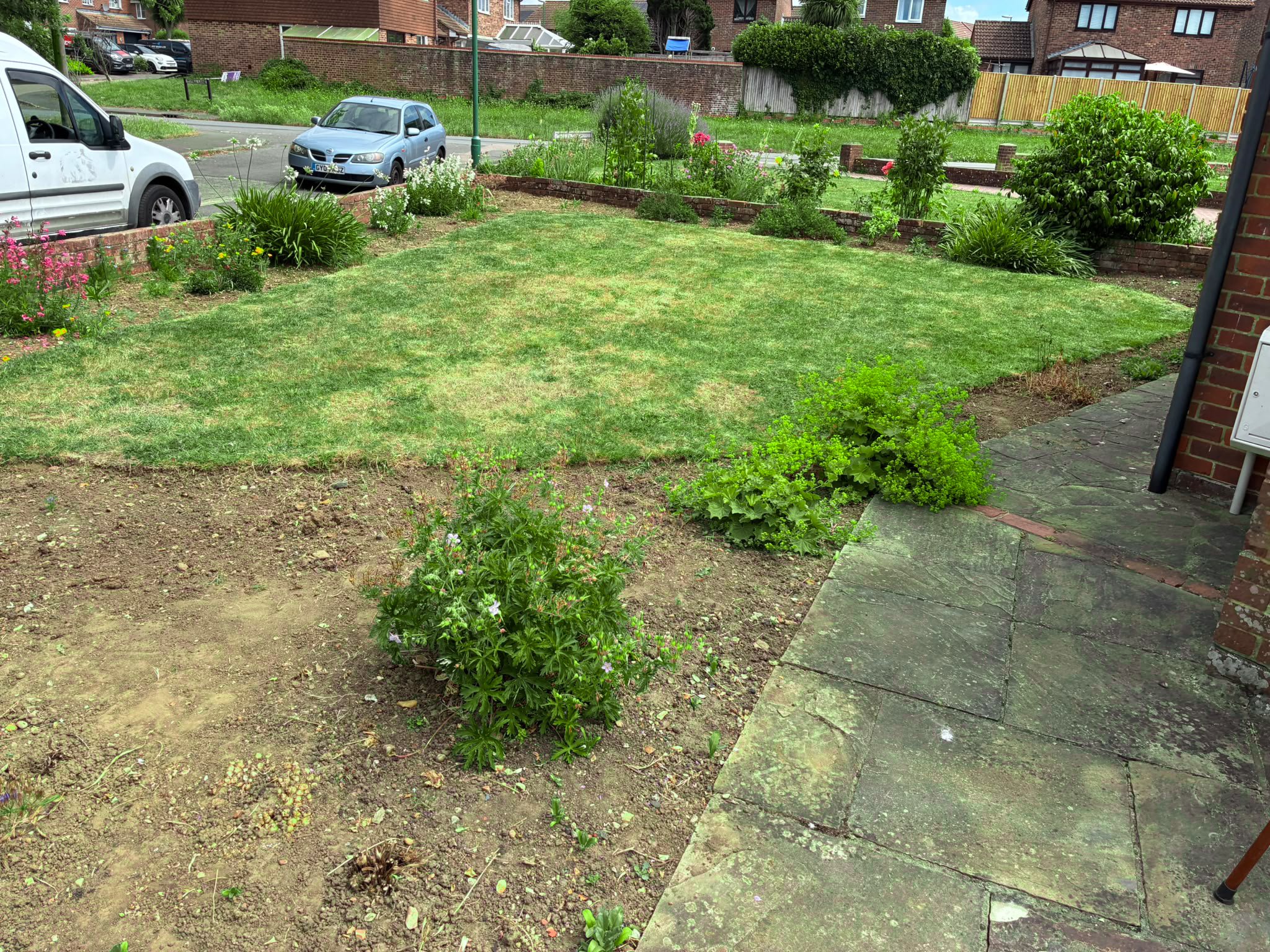 A garden with freshly sodded grass, flower beds with blooming flowers and shrubs, a paved stone pathway, and parked cars in a residential neighborhood.