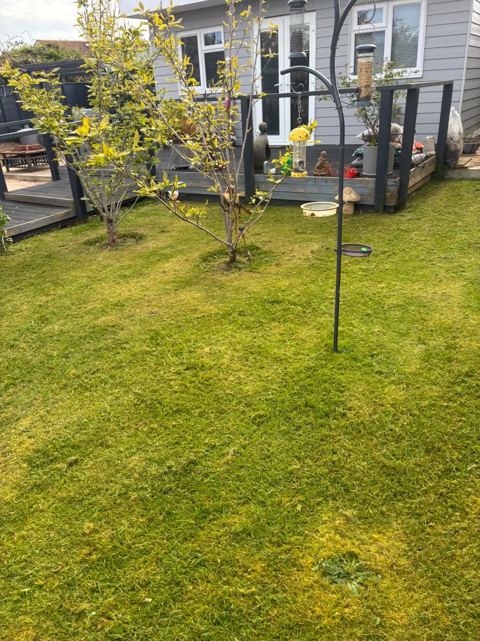 A backyard with green grass, a young tree, a raised wooden deck attached to a house, and a bird feeder hanging in the foreground.