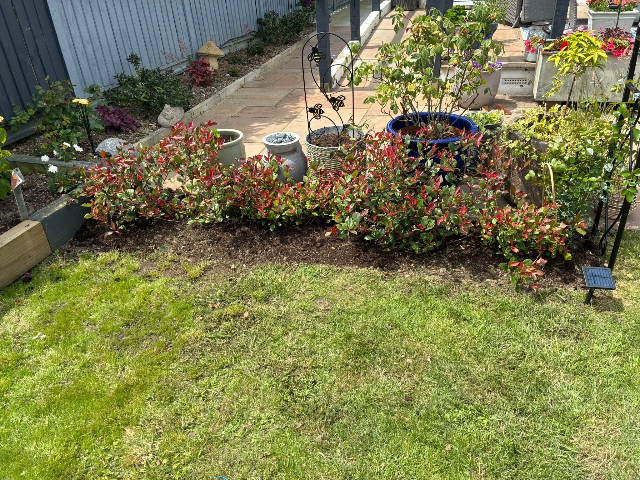 A backyard garden with potted plants, flower beds, and a stone pathway on a sunny day.