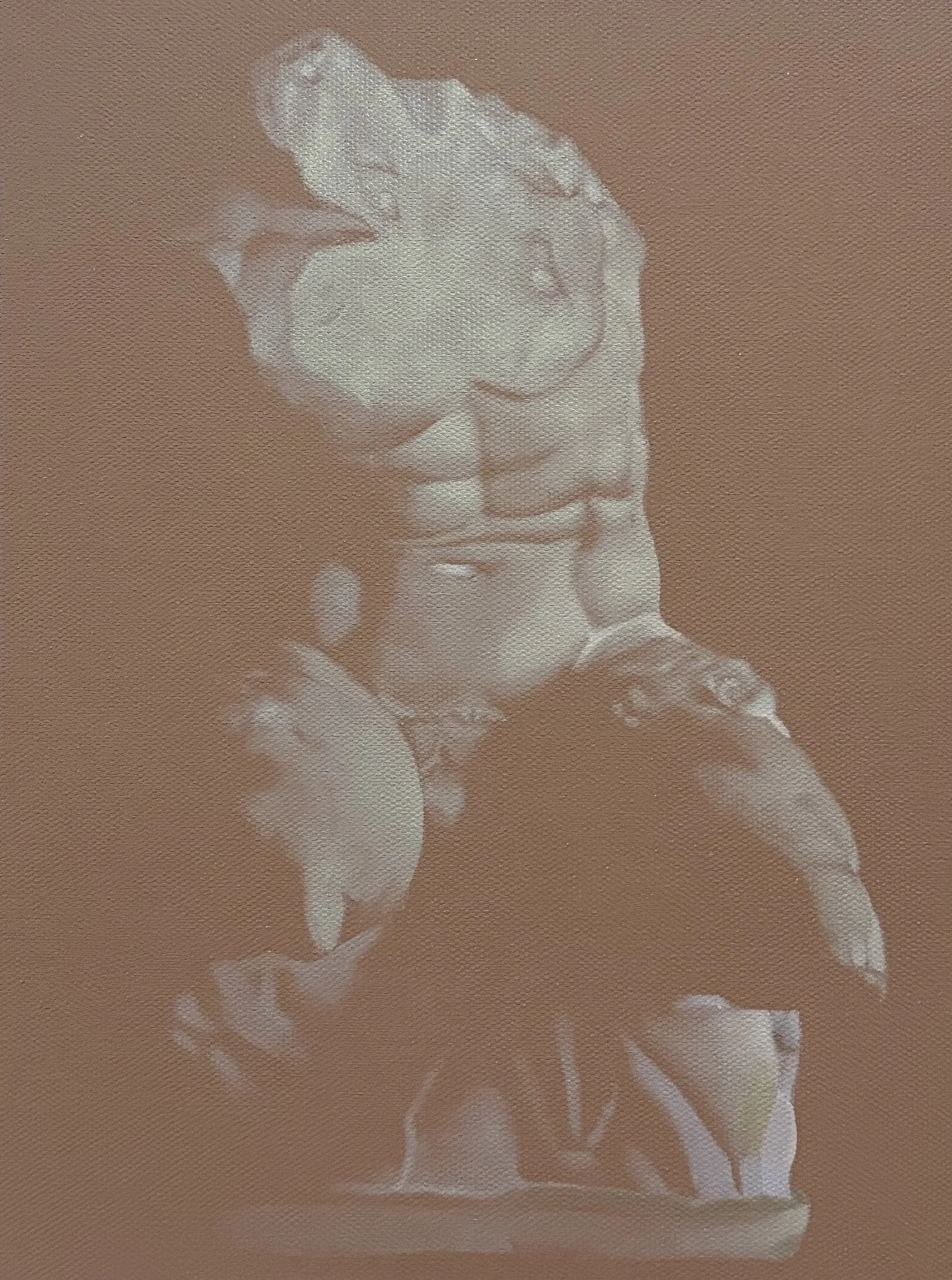 Belvedere Torso