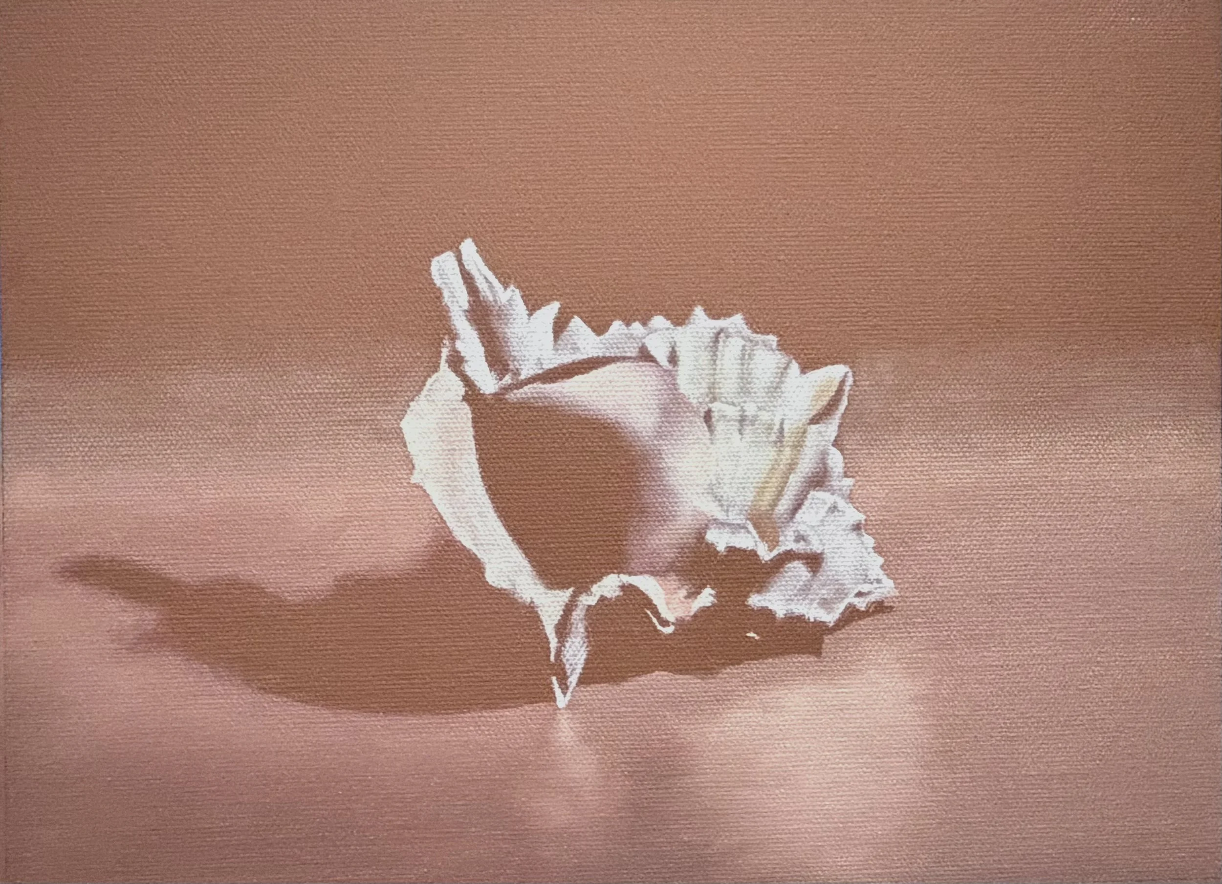Shell