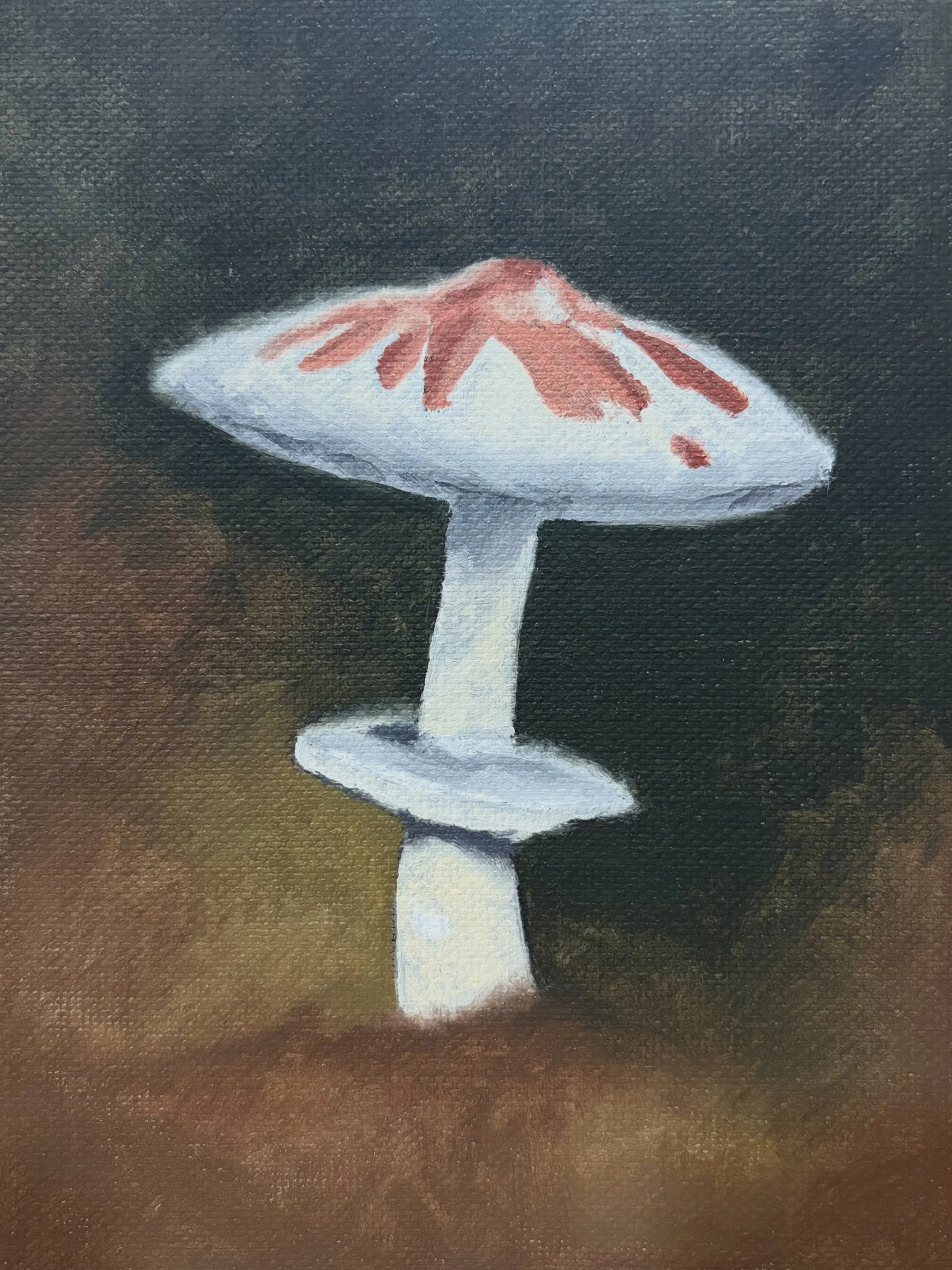 Mushroom