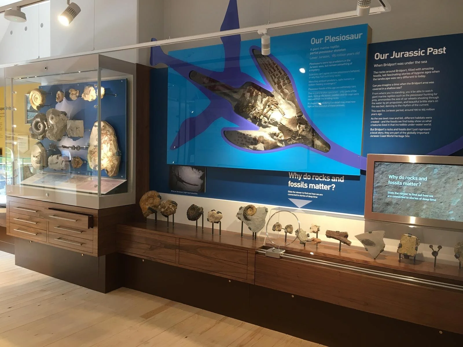 Exhibit display of various rocks and fossils, including a large fossil of a Pleiosaur, with informational panels about rocks, fossils, and dinosaurs.