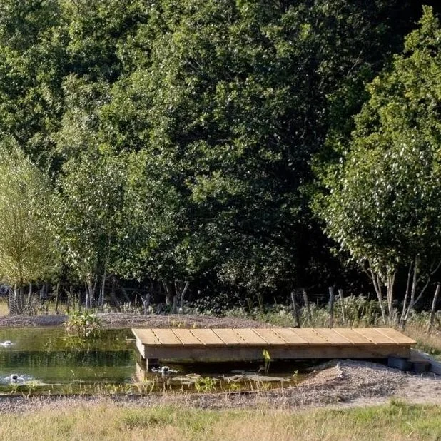 A small wooden bridge over a pond in a lush green park or forest area.