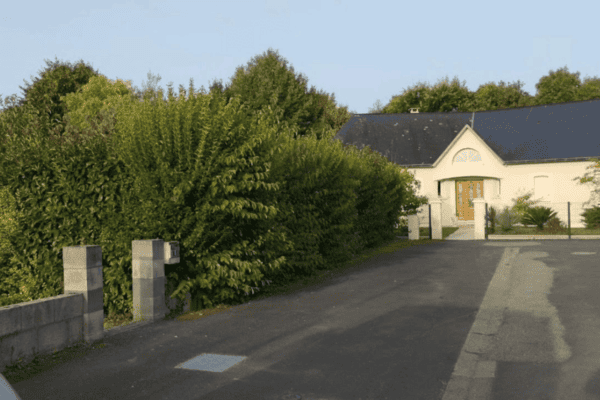 Chemin asphalté menant à une maison blanche avec toit gris, entourée d'arbres et de haies vertes.