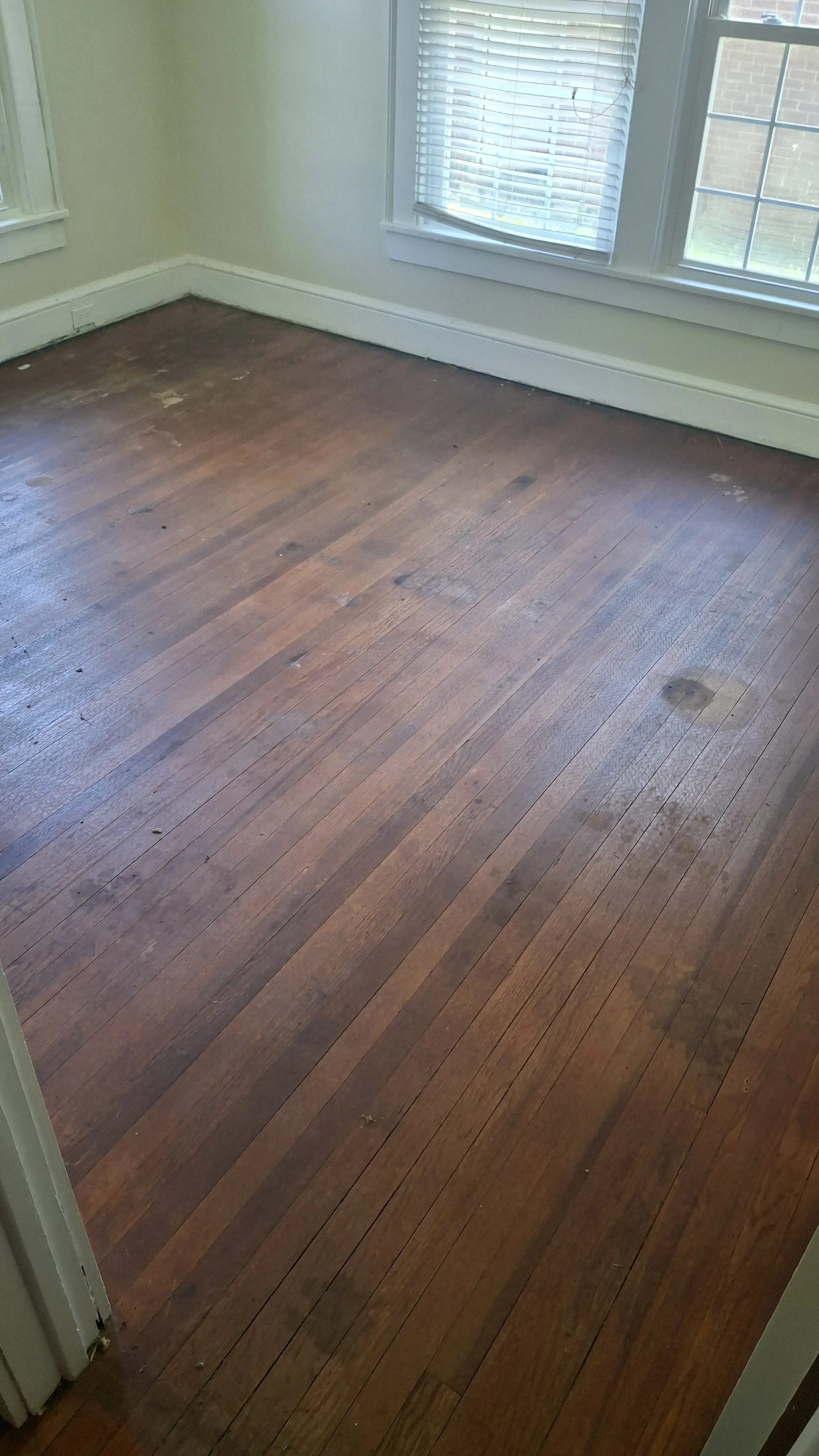 Empty room with hardwood flooring, beige walls, and large windows with blinds allowing natural light to enter