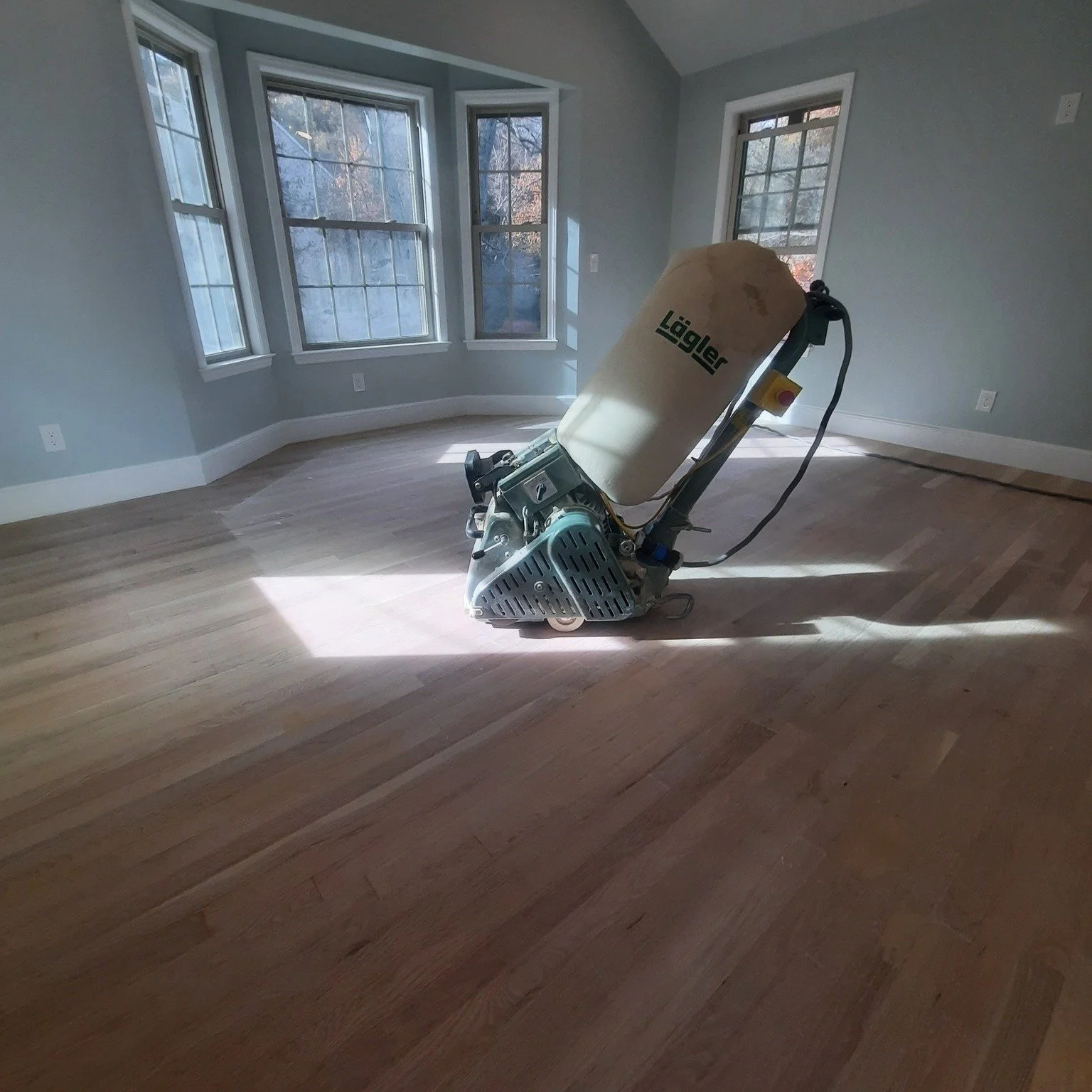 A floor sander in a room with light blue walls and multiple windows, preparing to sand the hardwood floor.
