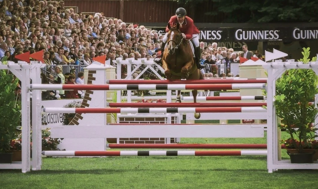 Horse show course designer jumpers FEI