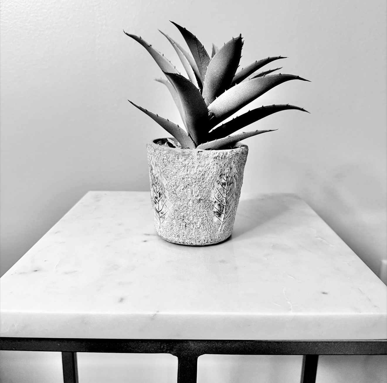 A black and white photograph of a potted succulent plant on a white surface with a plain light background, featuring textured pot and spiky leaves. Photo by Taneka M. Bennett for the therapy practice Sxuations.com