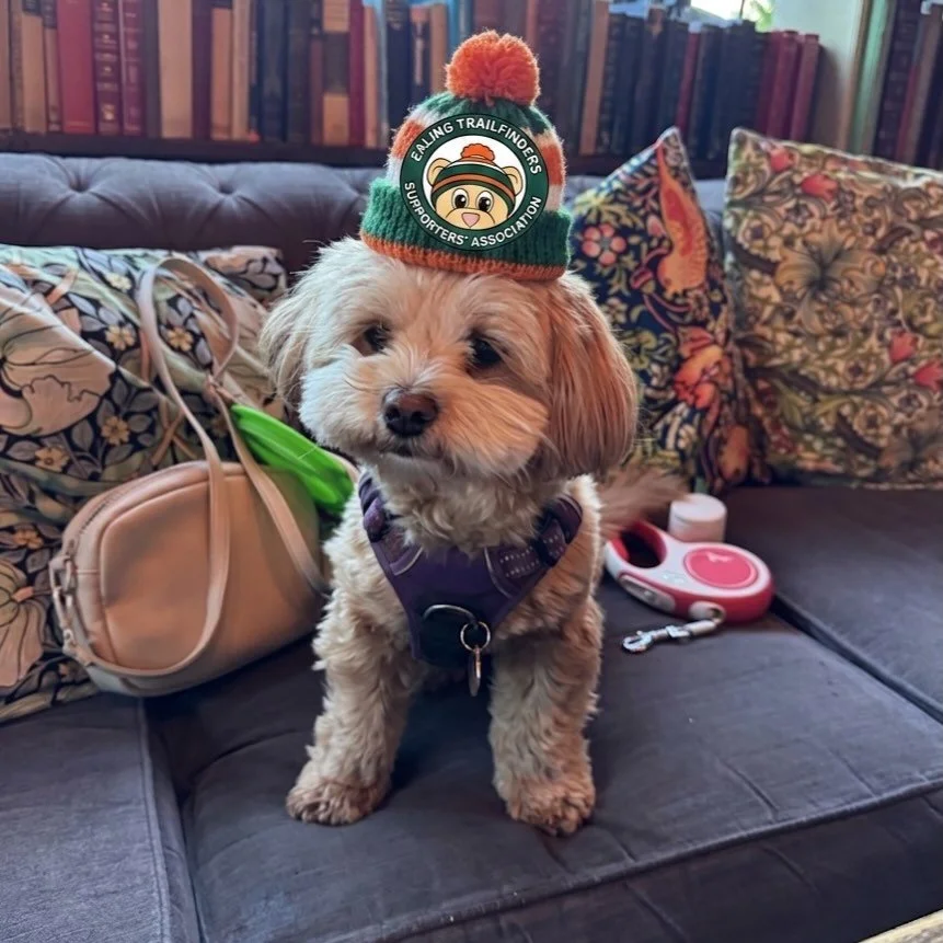 Our most recent committee membership drive resulted in this newest recruit, Ezi.
