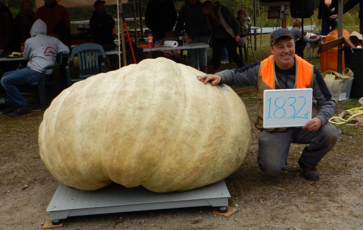 EdwinPumpkin1832.jpg