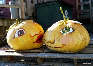 Pumpkinfest 2014 (41).JPG