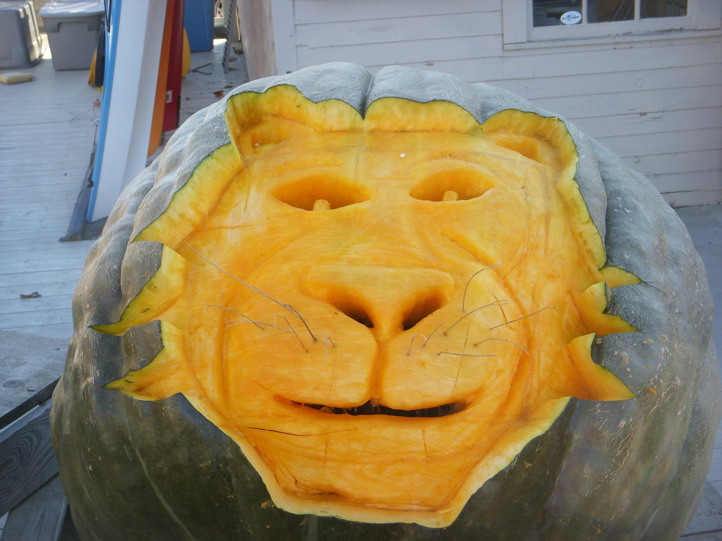 Pumpkinfest 2008 021.JPG