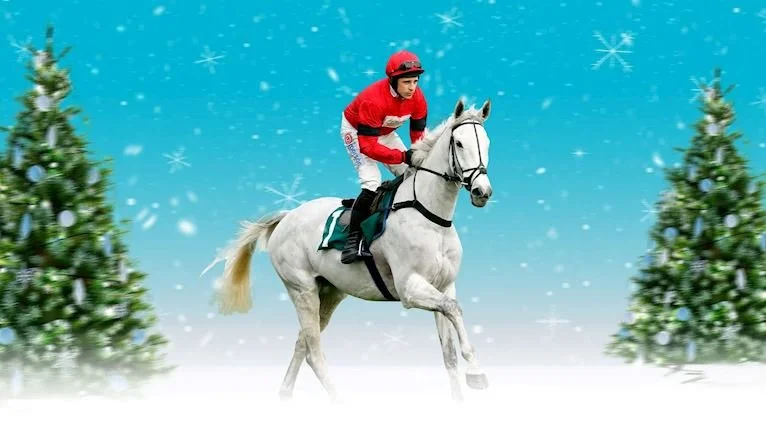 The Christmas Meeting (Cheltenham Racecourse) | 11th & 12th December 2026