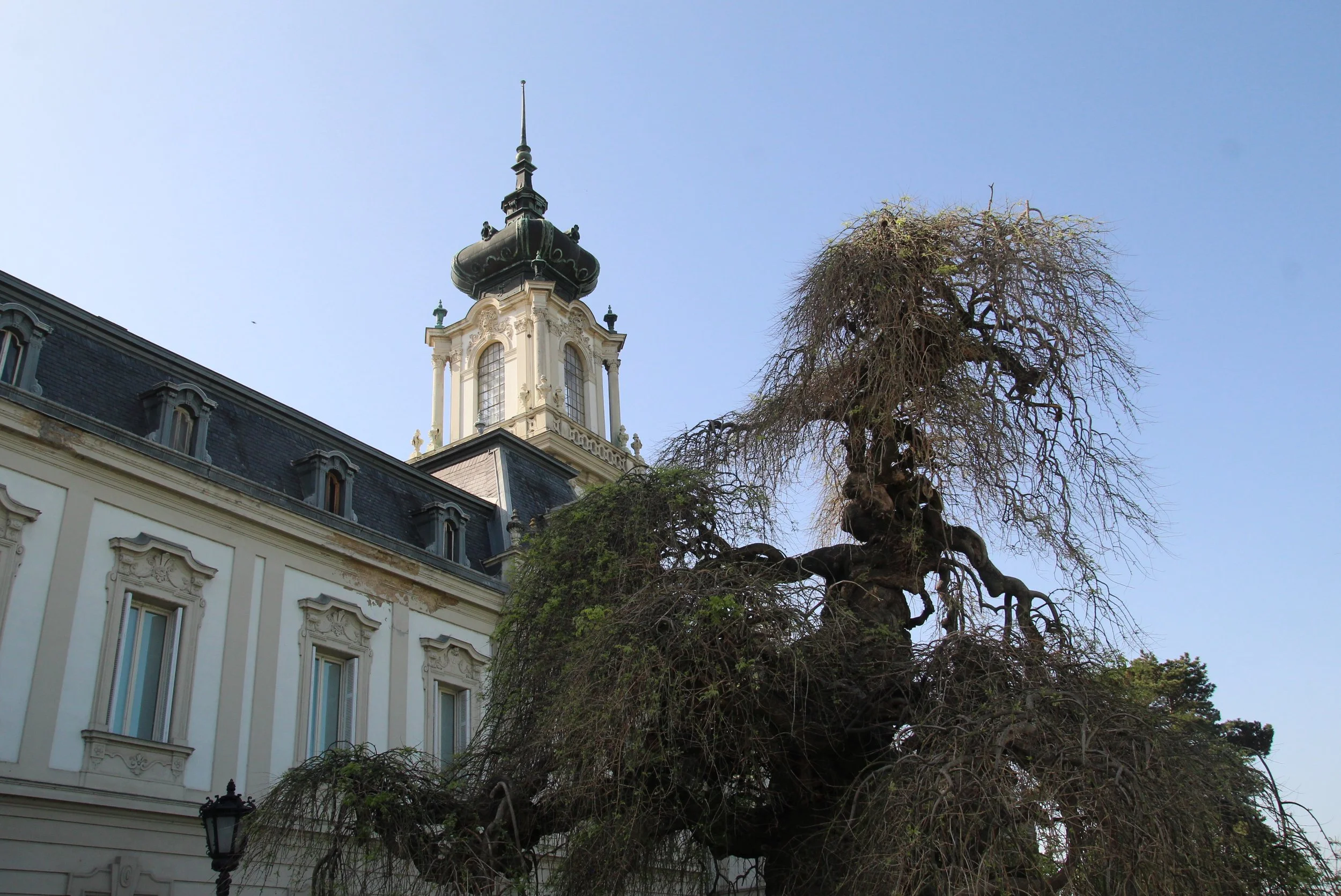 IMG_7977_1.JPG