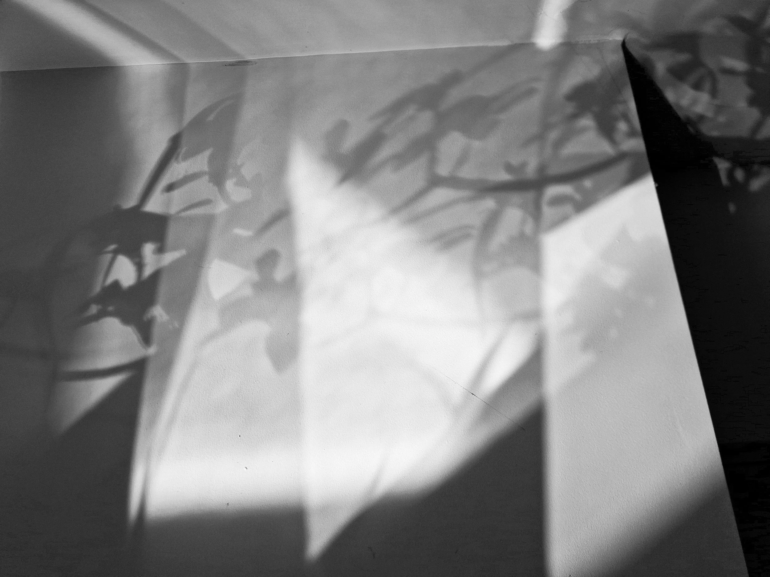 20260419_093126(1).jpg