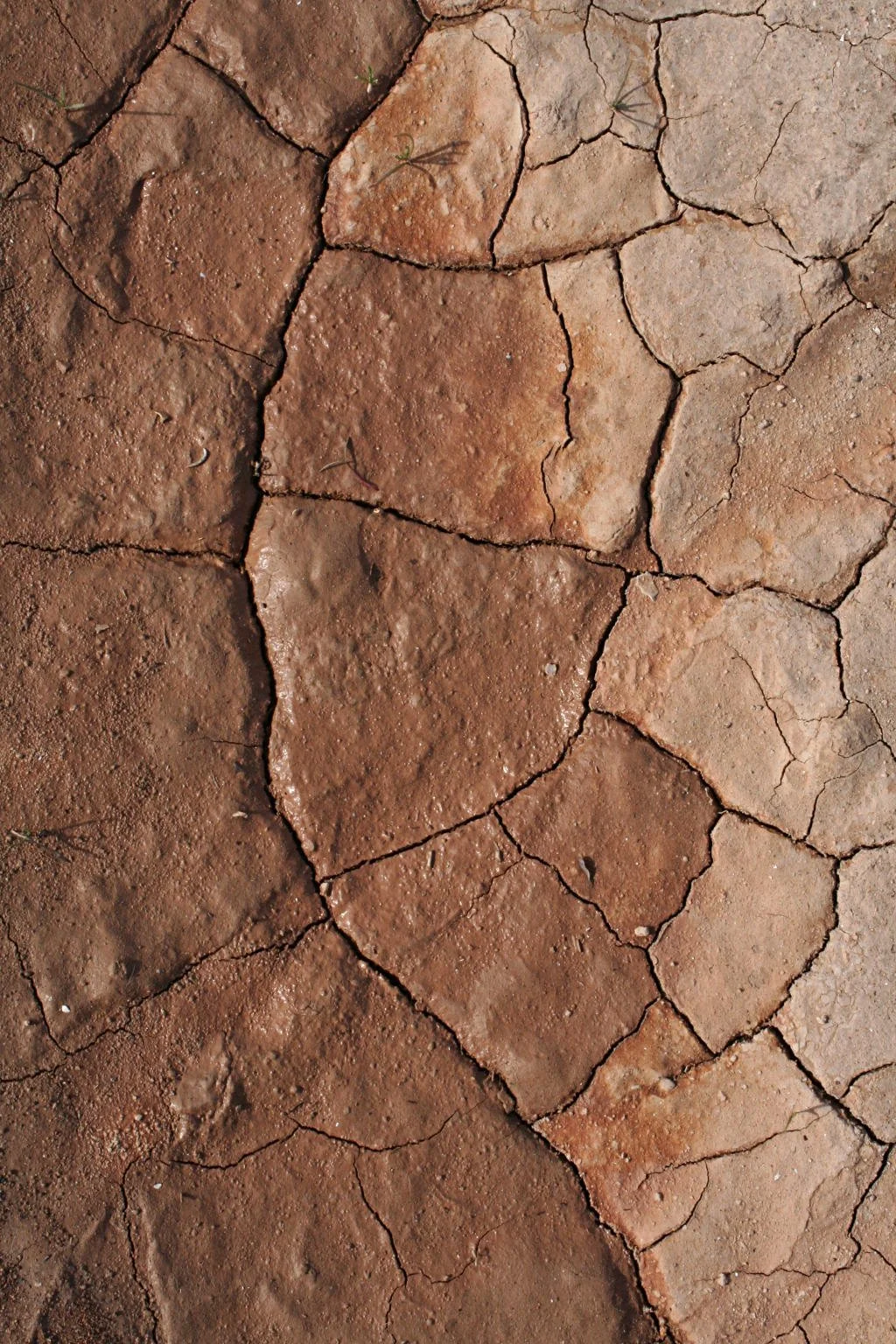 OZCruoIAGh5NjtK1joXAR1p9PZUiRKM6bzA2Y_xKIr5A5zCjNoWfhlXuJxOLIWiYm5E0rvcR.jpg