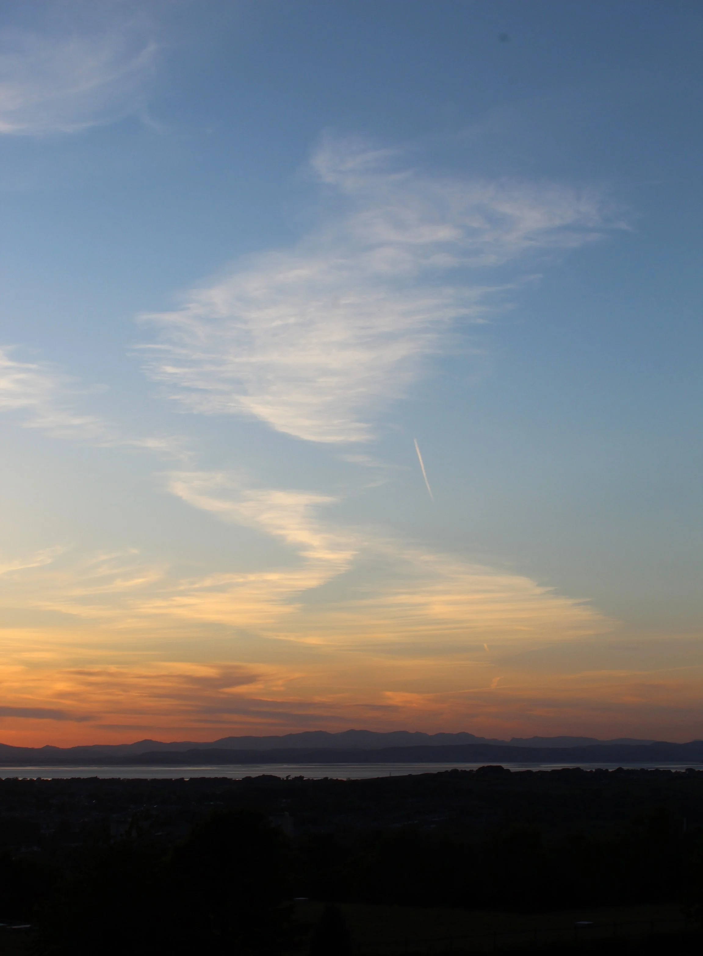 IMG_6674_1.JPG