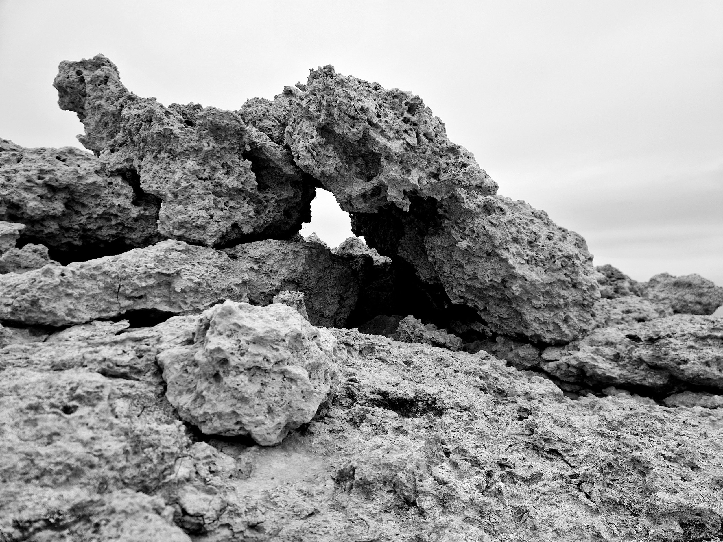 20260502_133907(1).jpg