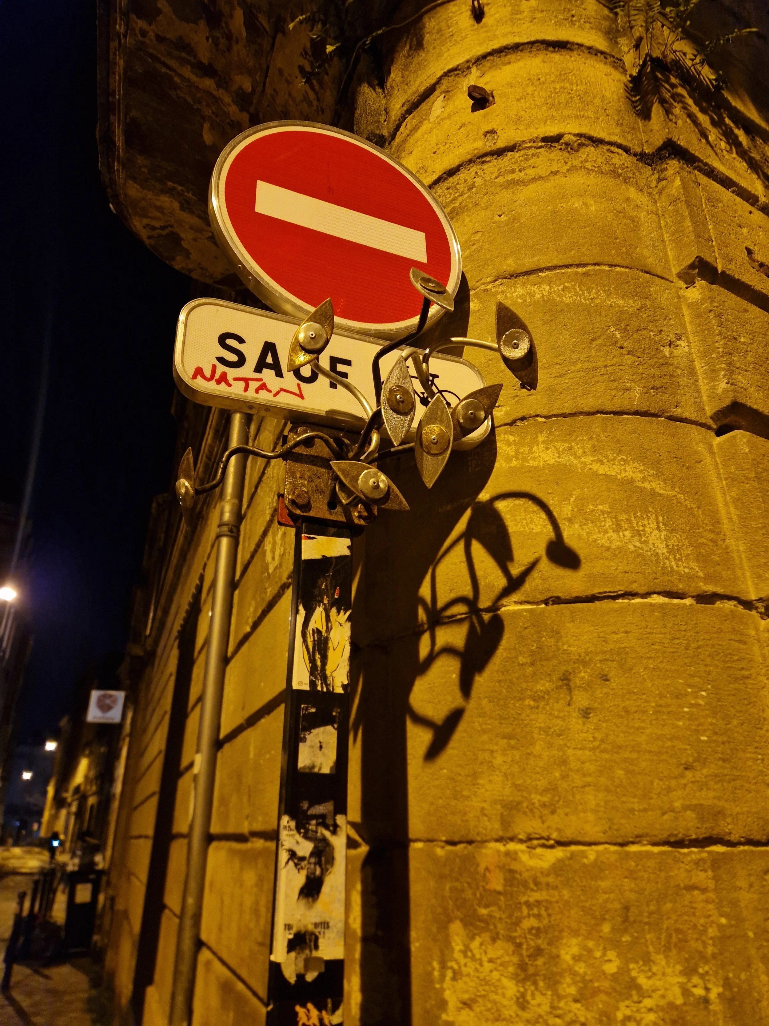 20260105_202738.jpg