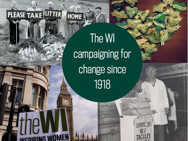 Collage of images showing history of the Women's Initiative in Wisconsin since 1918, including women protest signs, a plant with labeled leaves, Big Ben in London, and a woman selling newspapers.