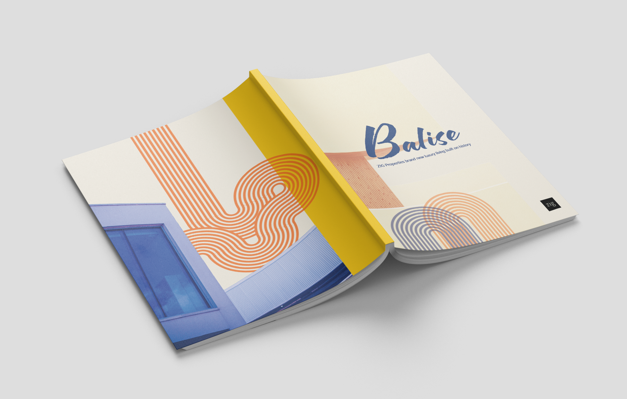 Balise-Brochure---Front-&-Back-Cover.png