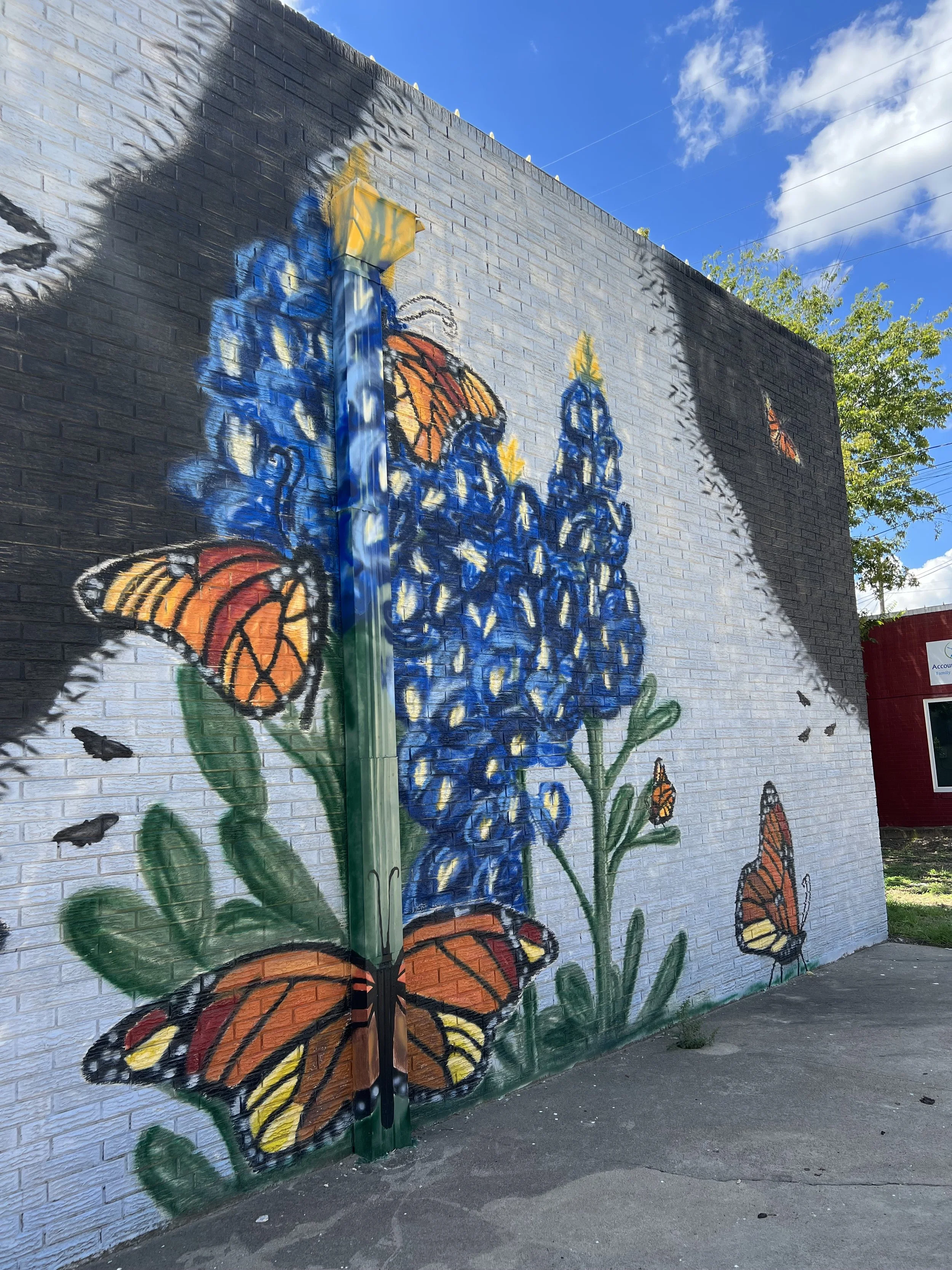murals (3).jpeg