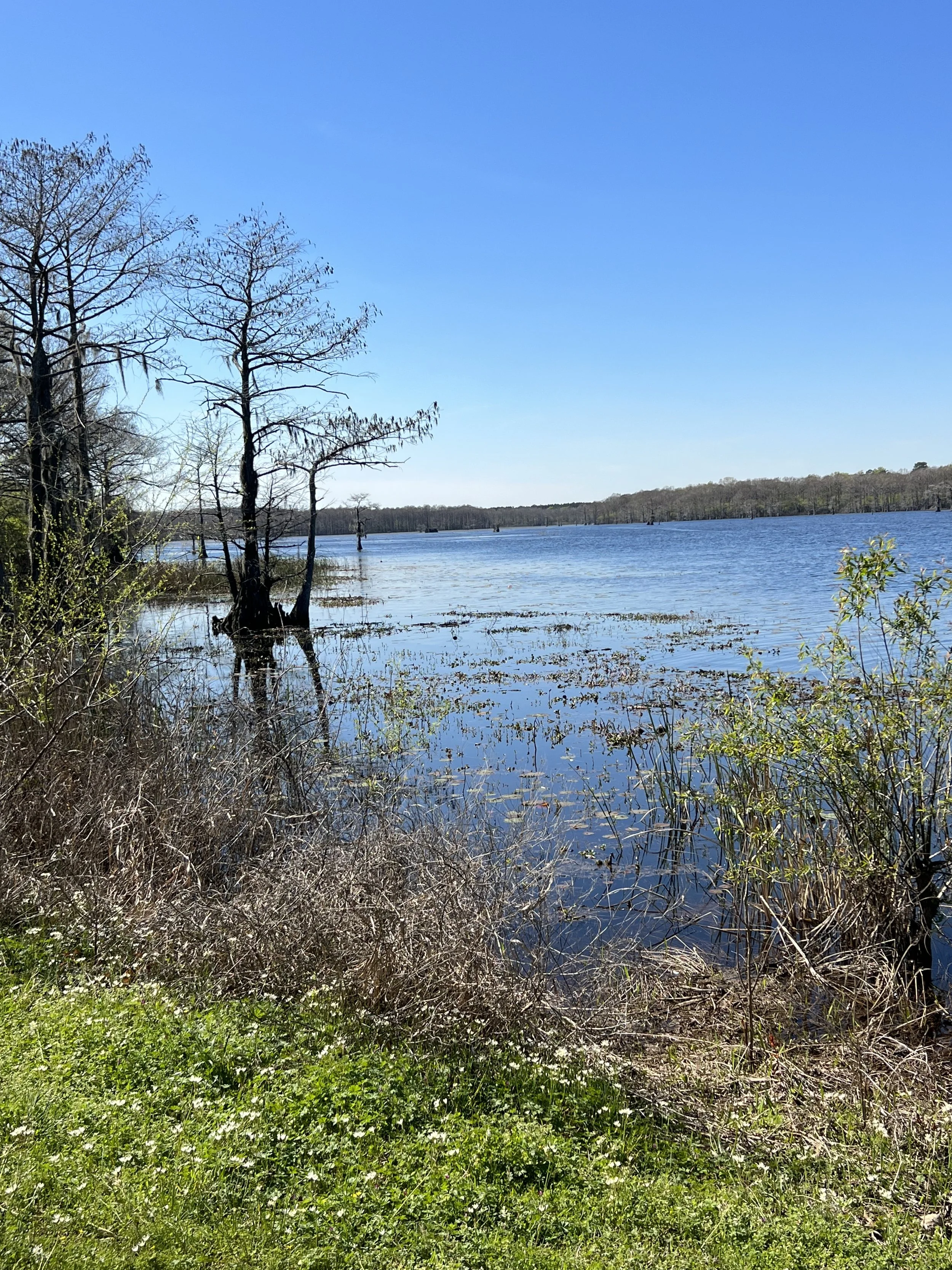 CL National Wildlife Refuge (3).jpg