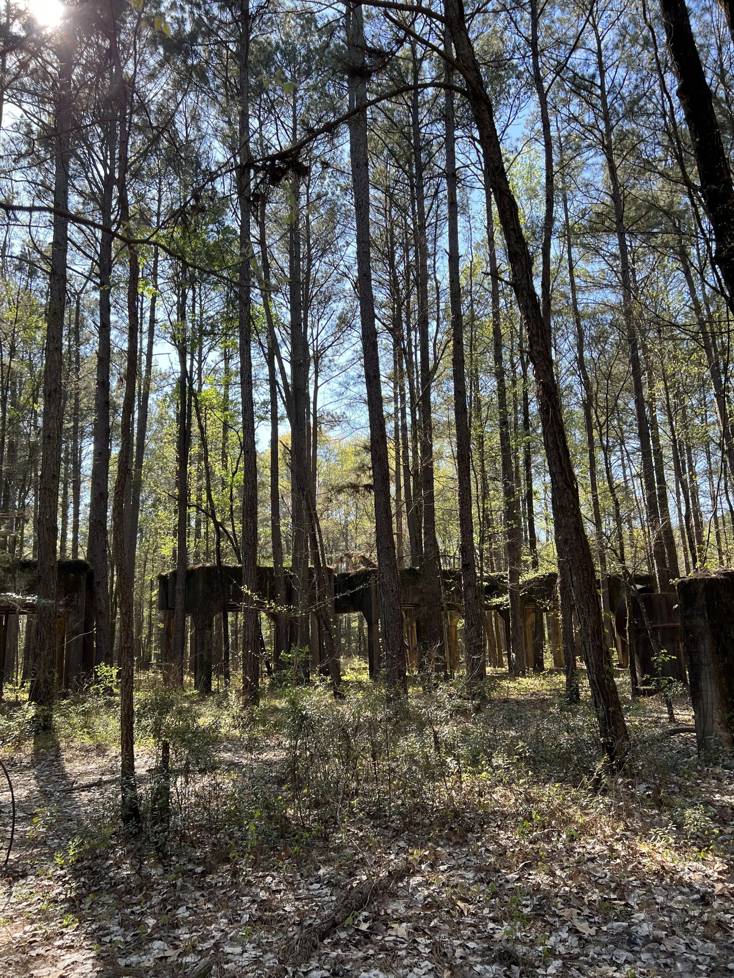 CL National Wildlife Refuge (7).jpg