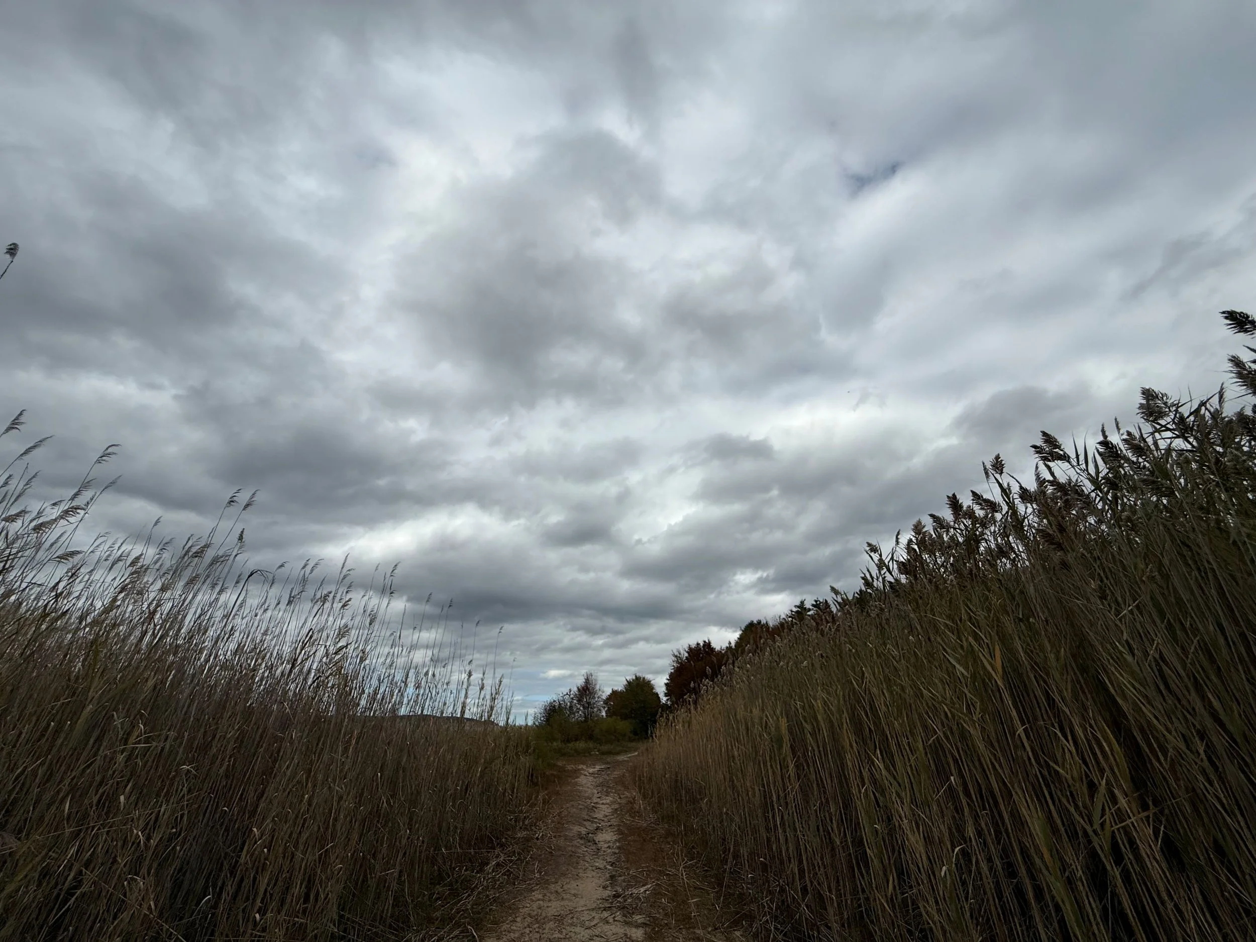 A narrow dirt path running through tall dry grass under a cloudy, overcast sky with dark gray clouds.