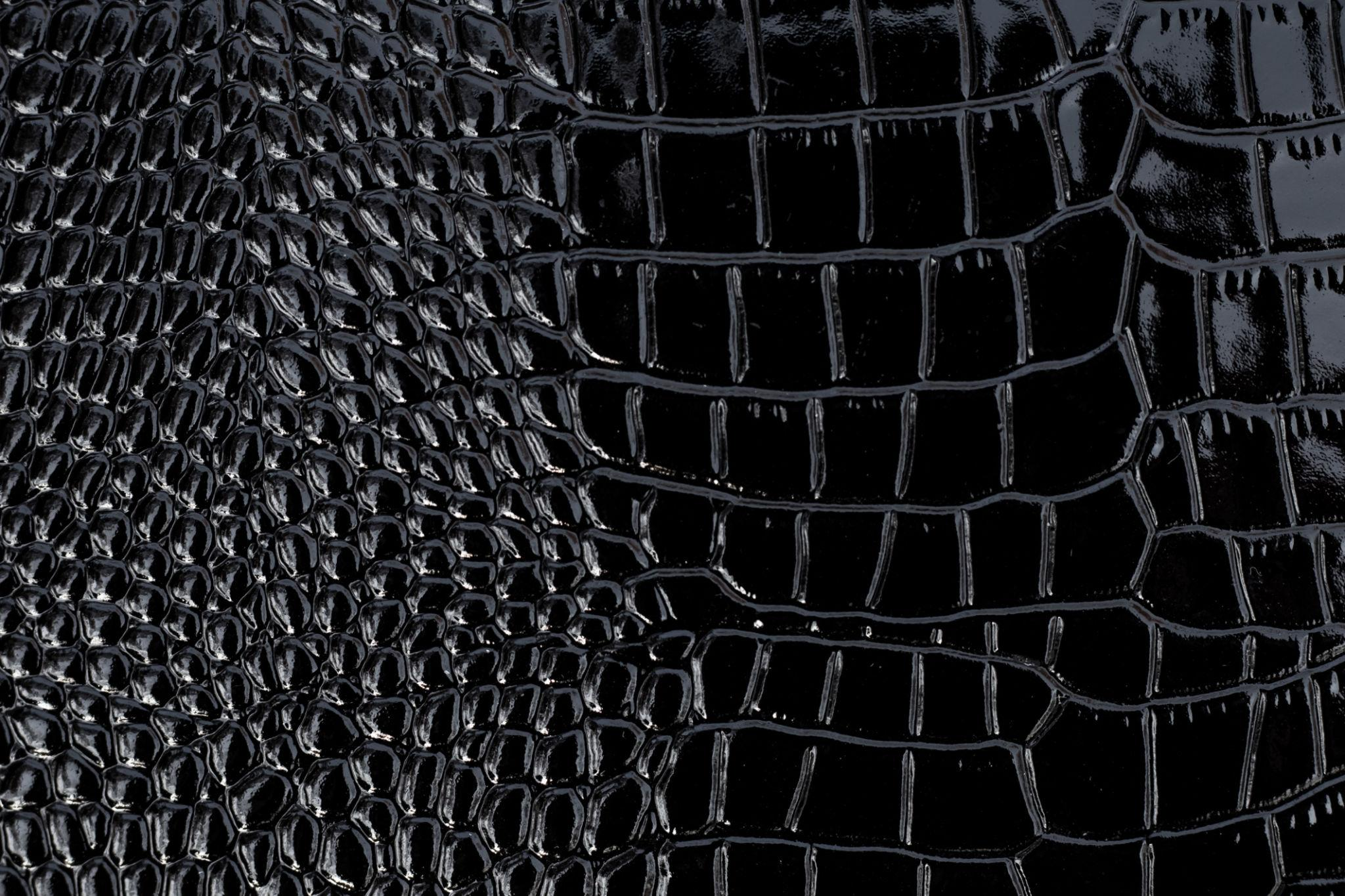 Close-up of black crocodile skin texture.