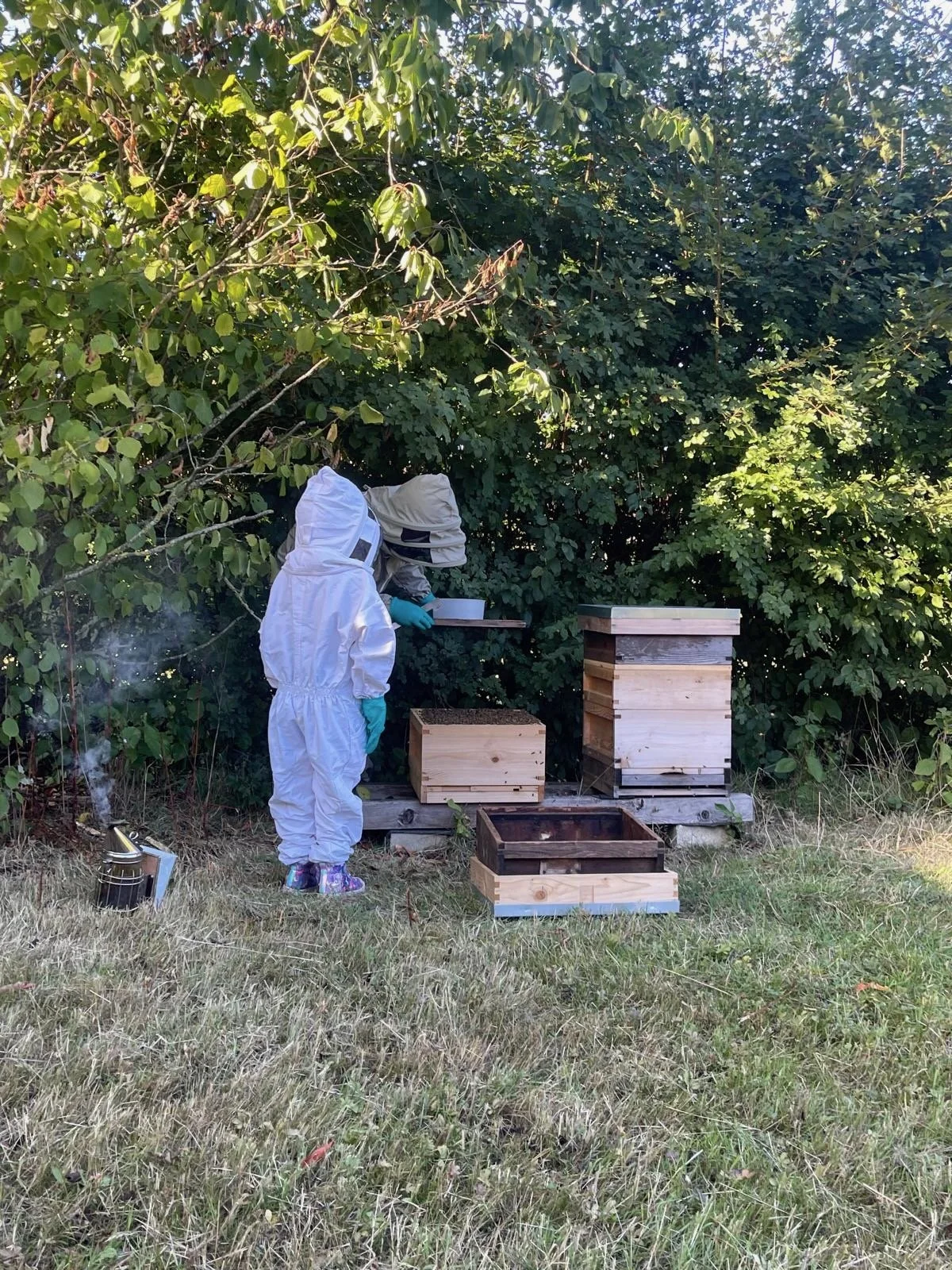 Two beekeepers in protective suits working near beehives in a green outdoor setting.