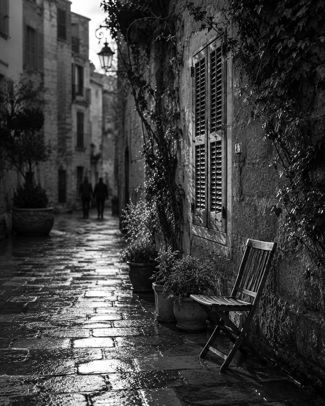 Black-and-white photograph of a rain-soaked European courtyard lined with plants and shuttered windows