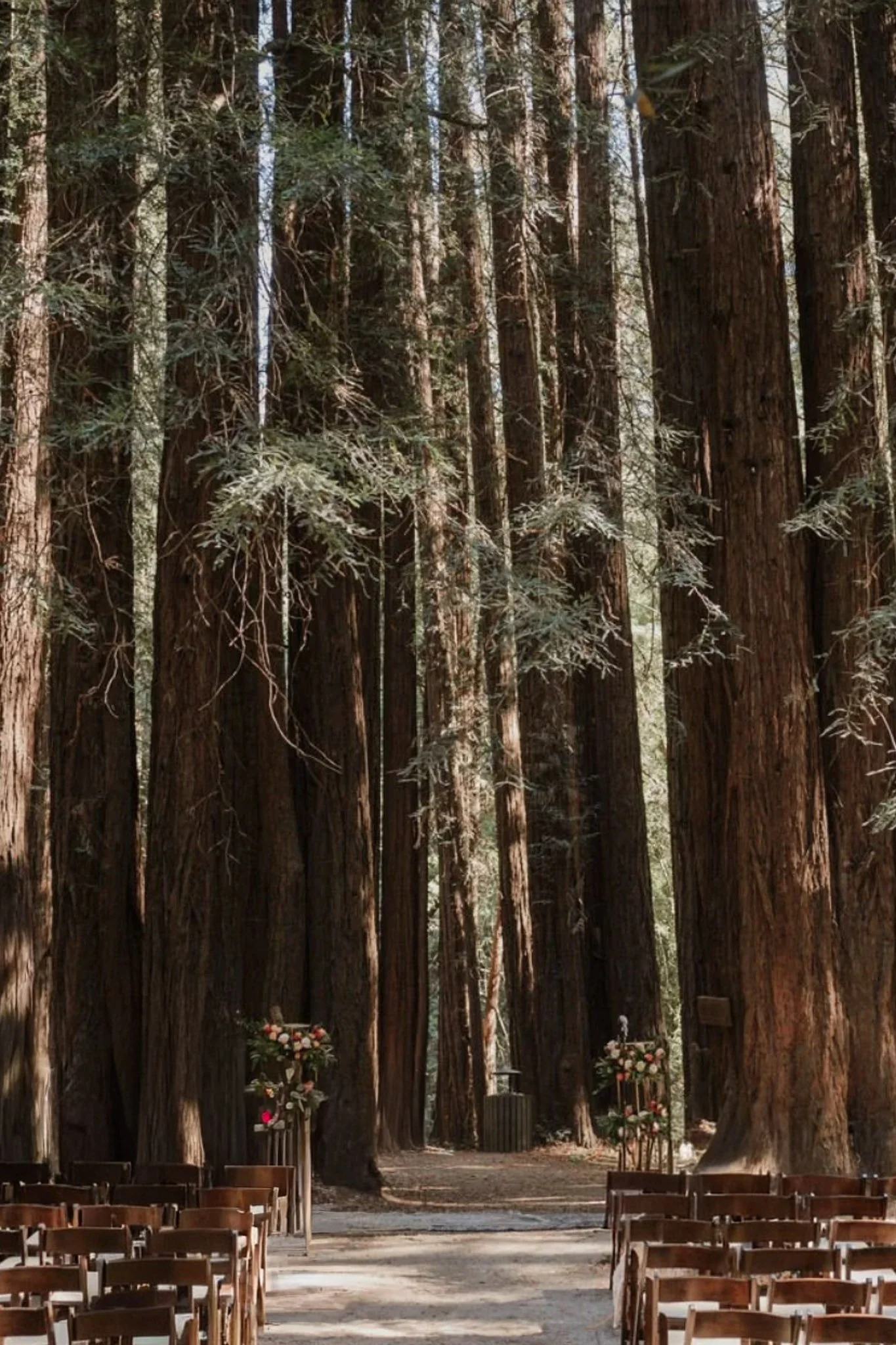 Old Mill Park North California Redwoods Elopement Photography by Living Pictures-5-2.jpg