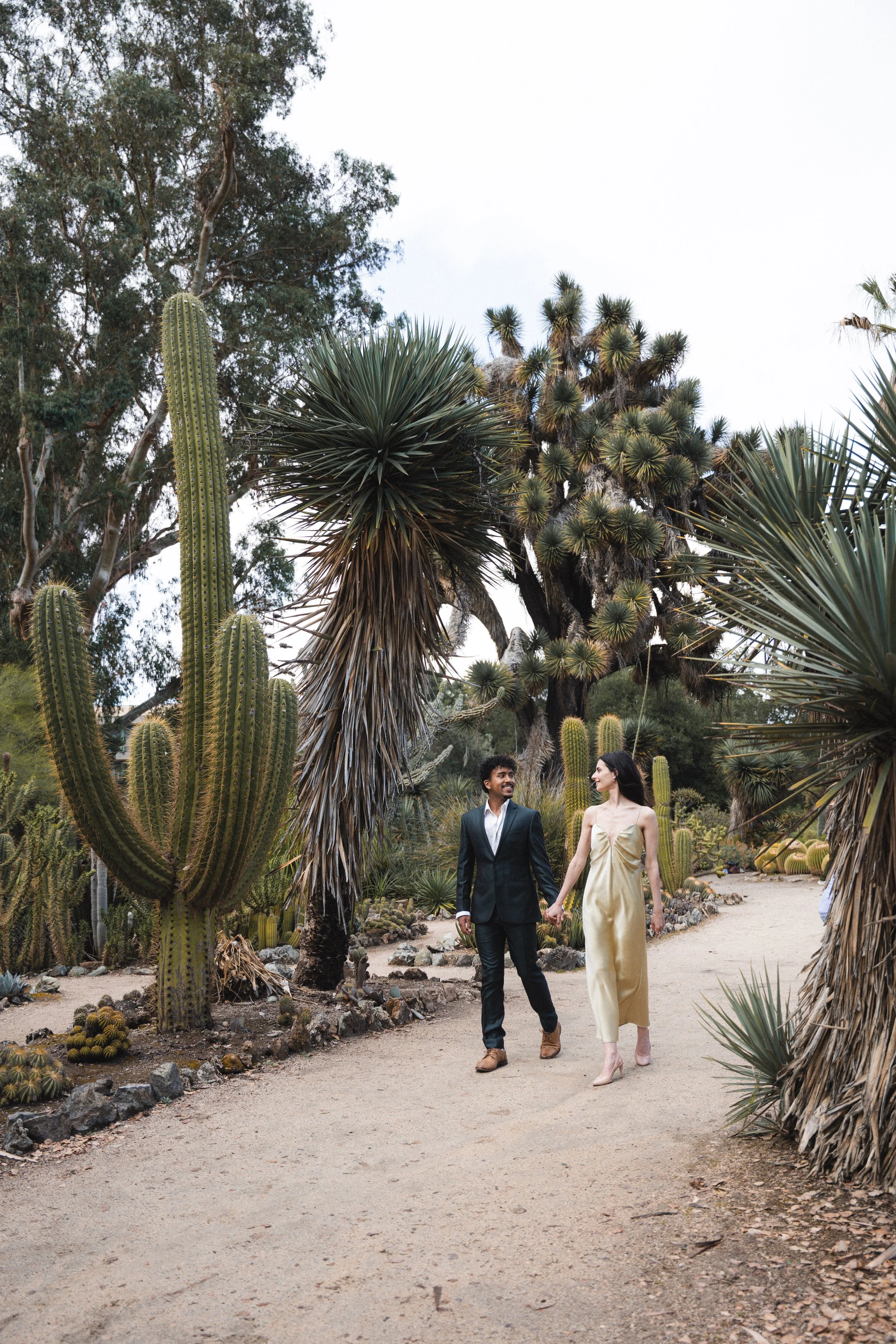 Palo-Alto-Elopement-Photography-Living-Pictures--26.jpg